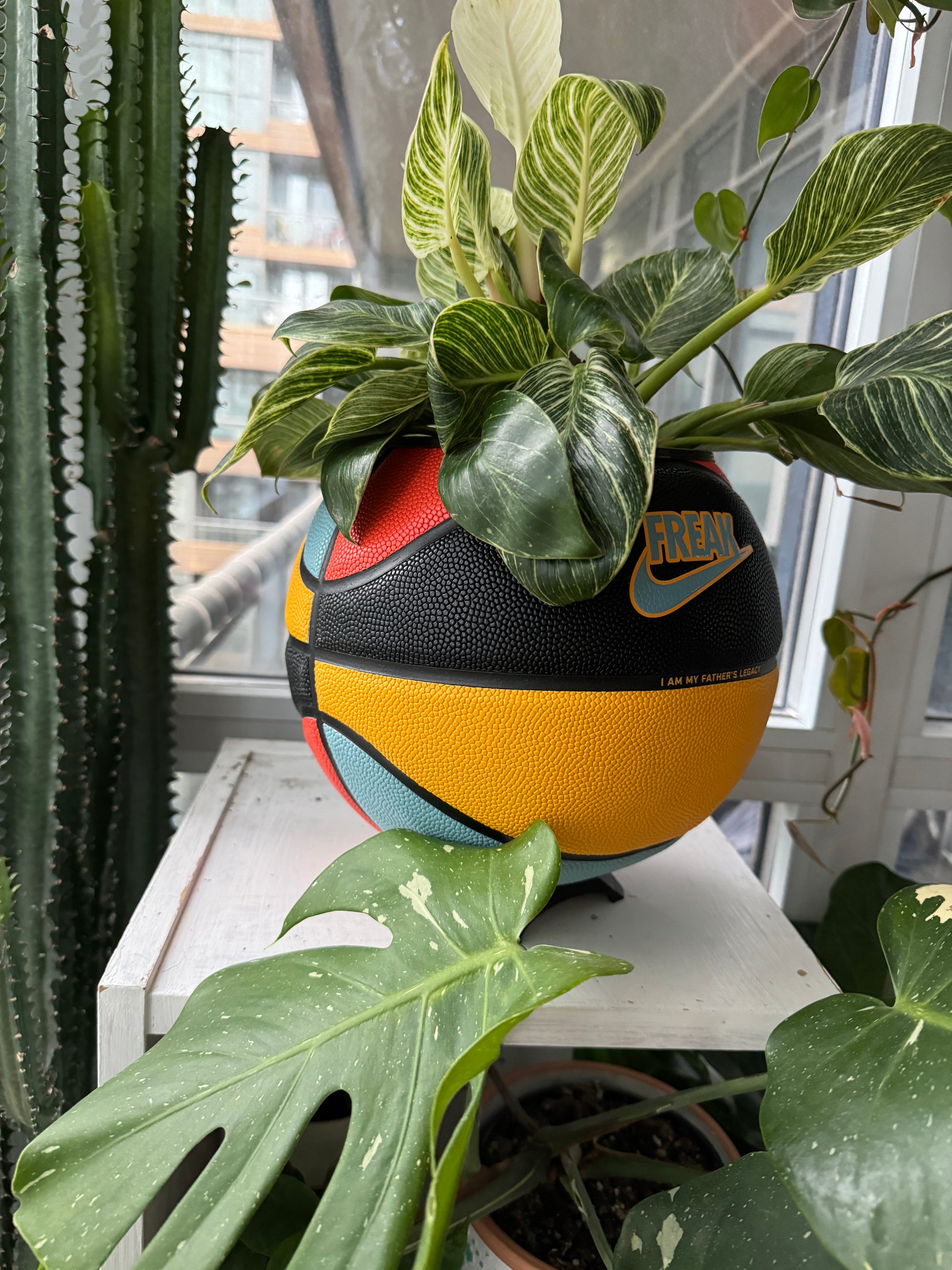 Nike Large Basketball Planter (My Father’s Legacy)