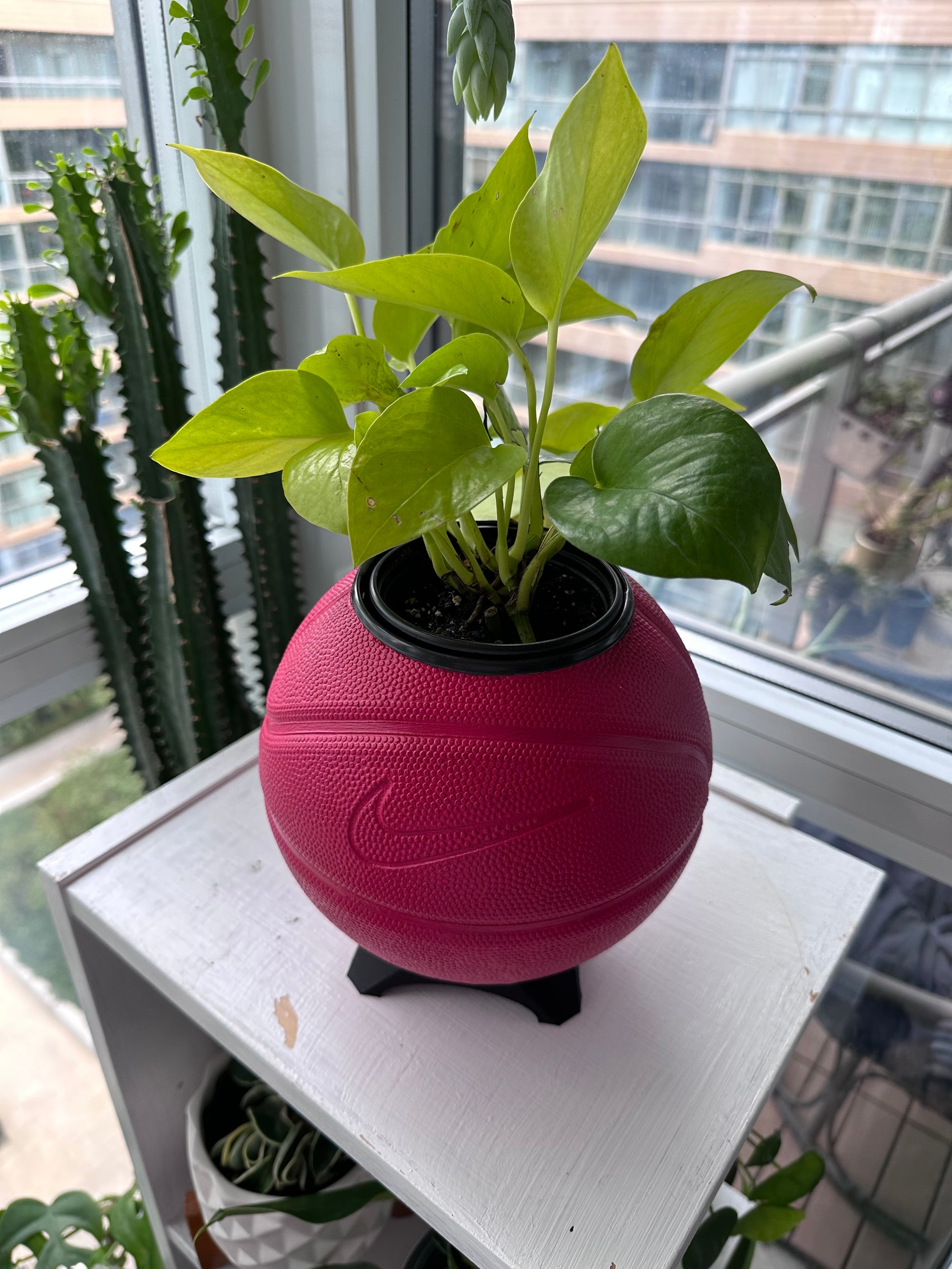 Nike Mini Basketball Planter (Cherry)