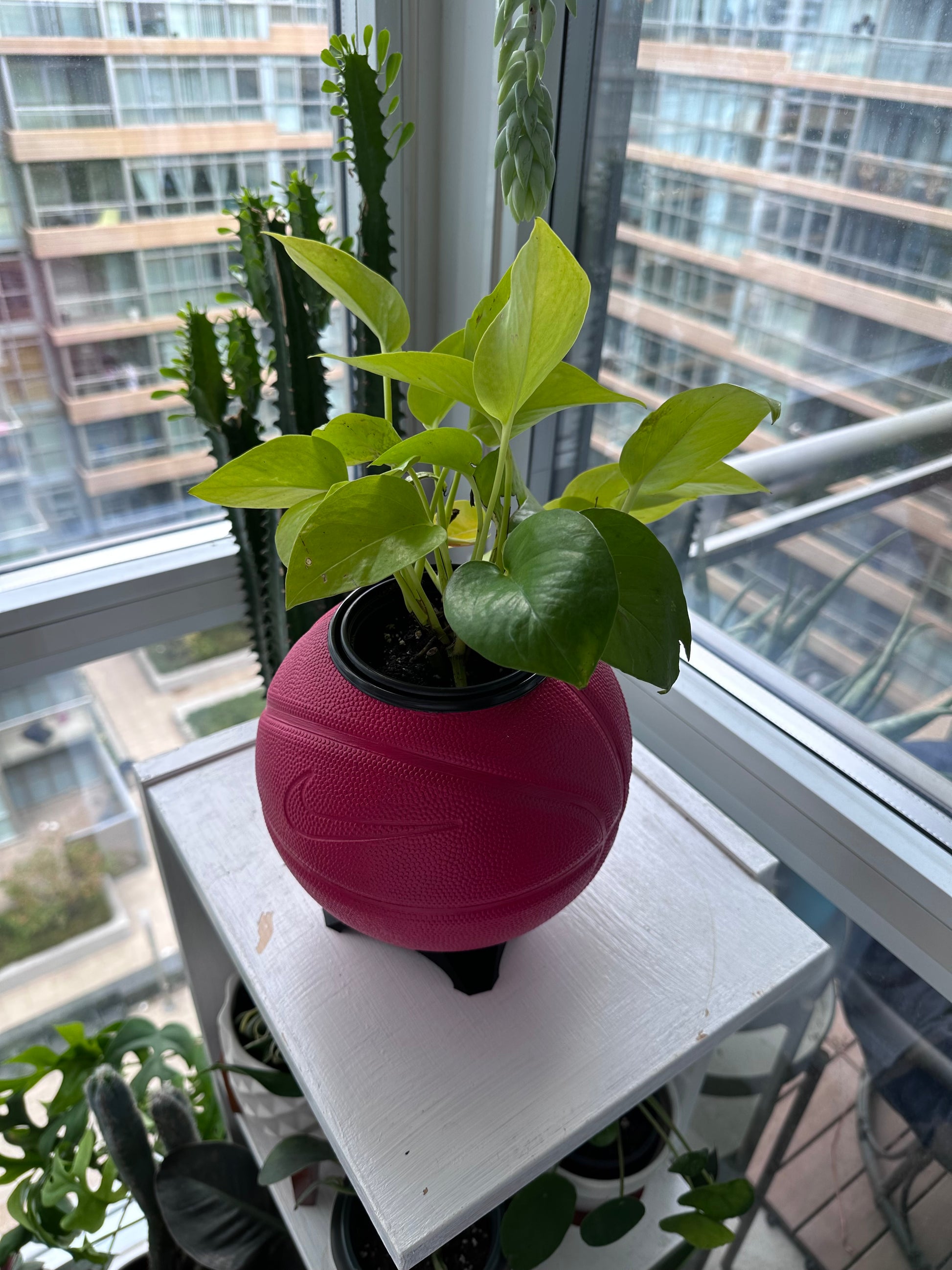 Nike Mini Basketball Planter (Cherry)
