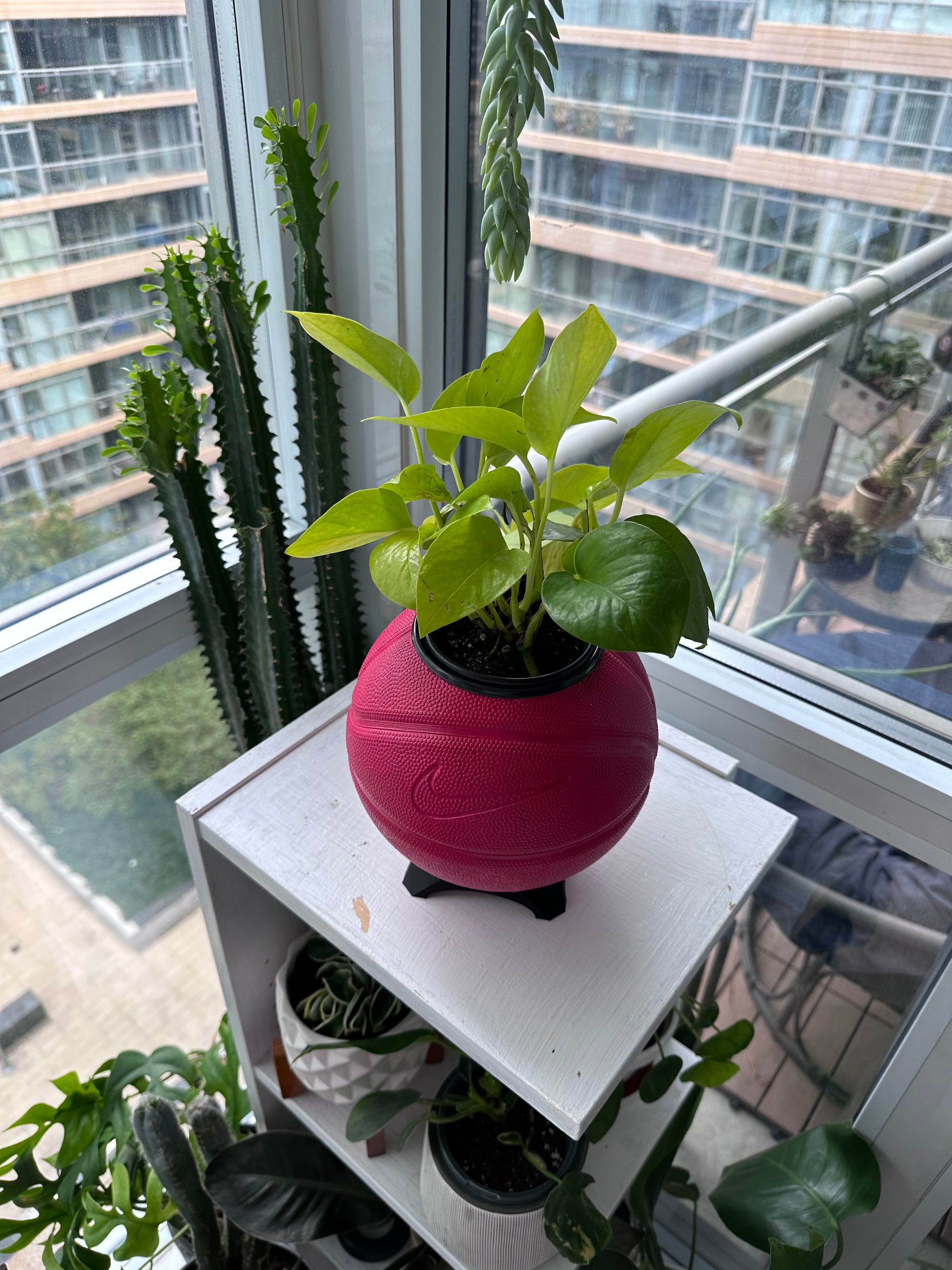 Nike Mini Basketball Planter (Cherry)