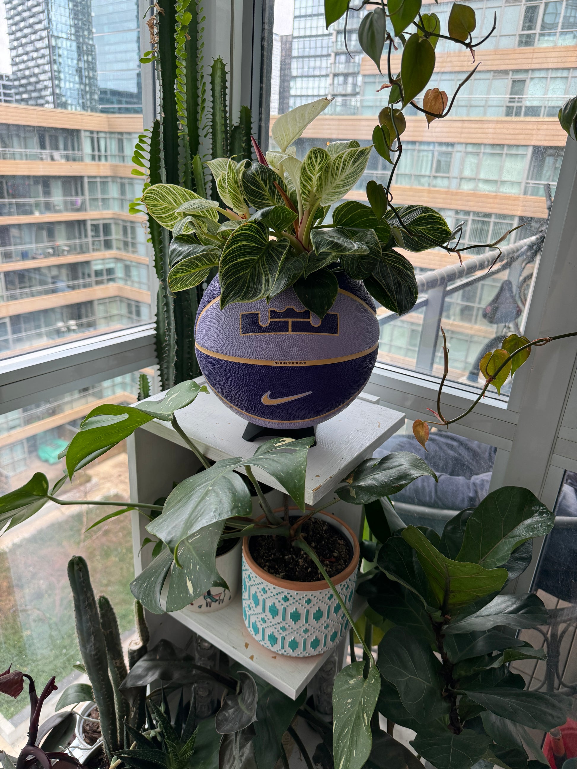 Nike Large Basketball Planter (LeBron King Purple)