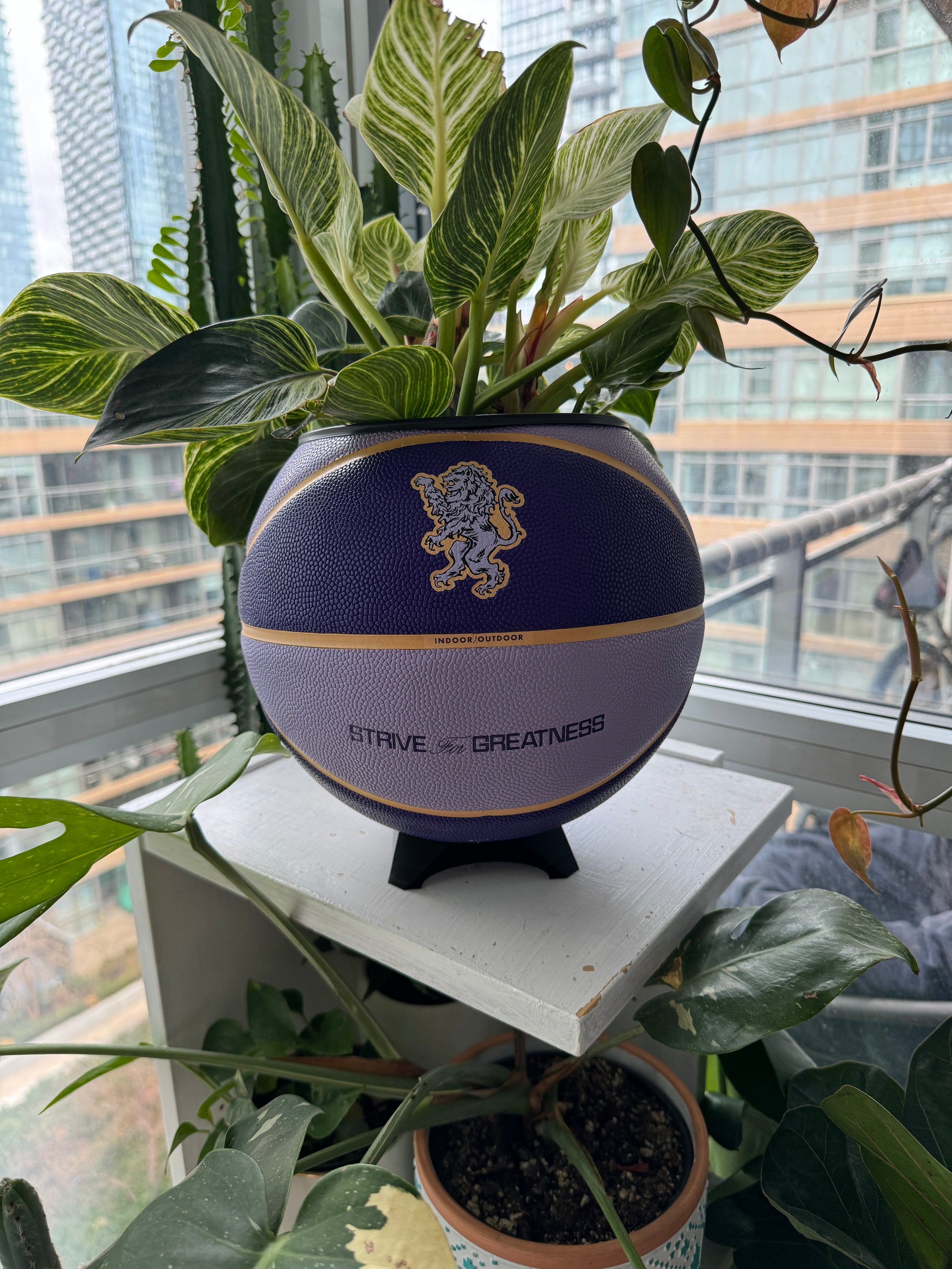 Nike Large Basketball Planter (LeBron King Purple)