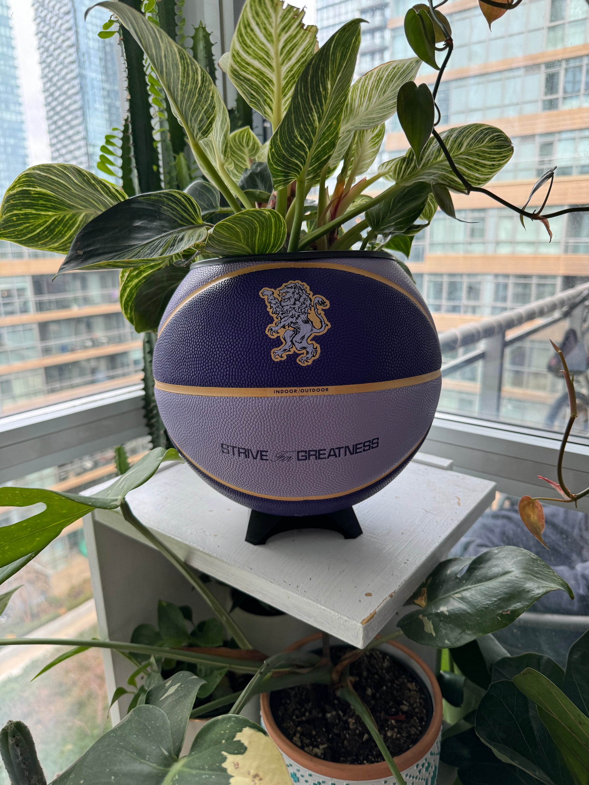 Nike Large Basketball Planter (LeBron King Purple)