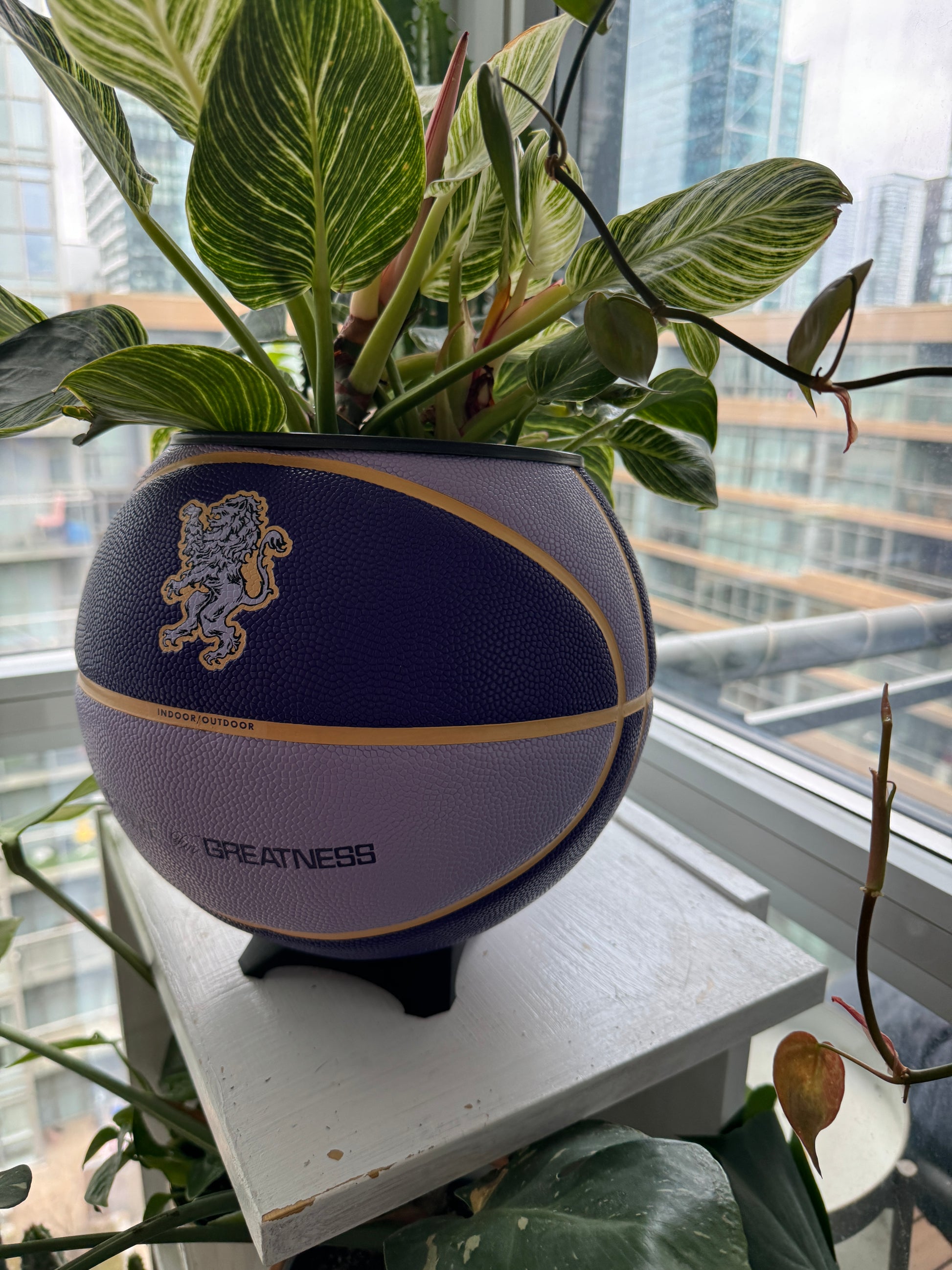 Nike Large Basketball Planter (LeBron King Purple)