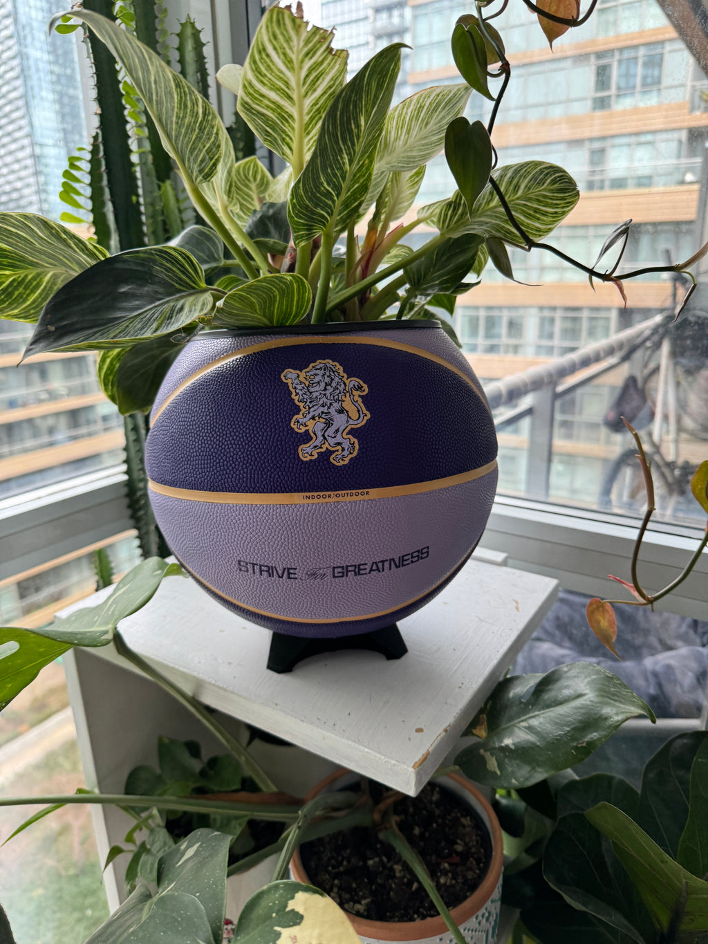Nike Large Basketball Planter (LeBron King Purple)
