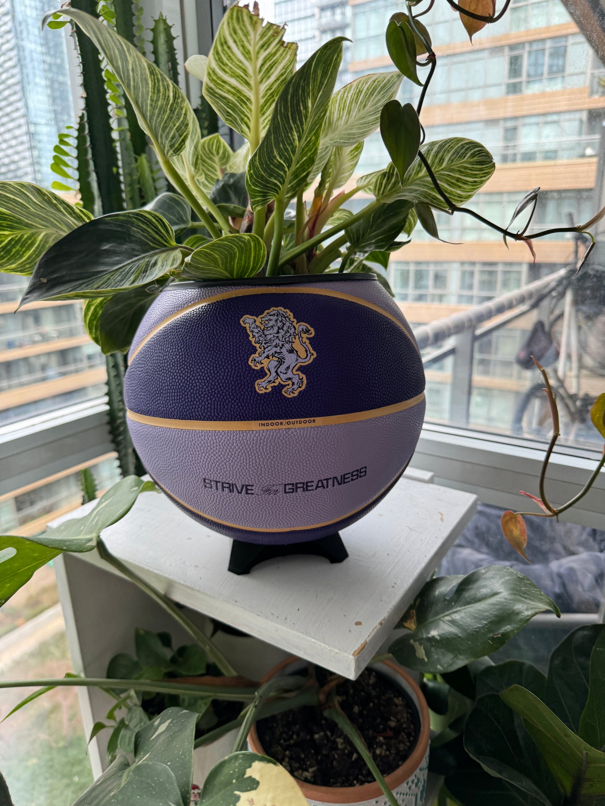 Nike Large Basketball Planter (LeBron King Purple)