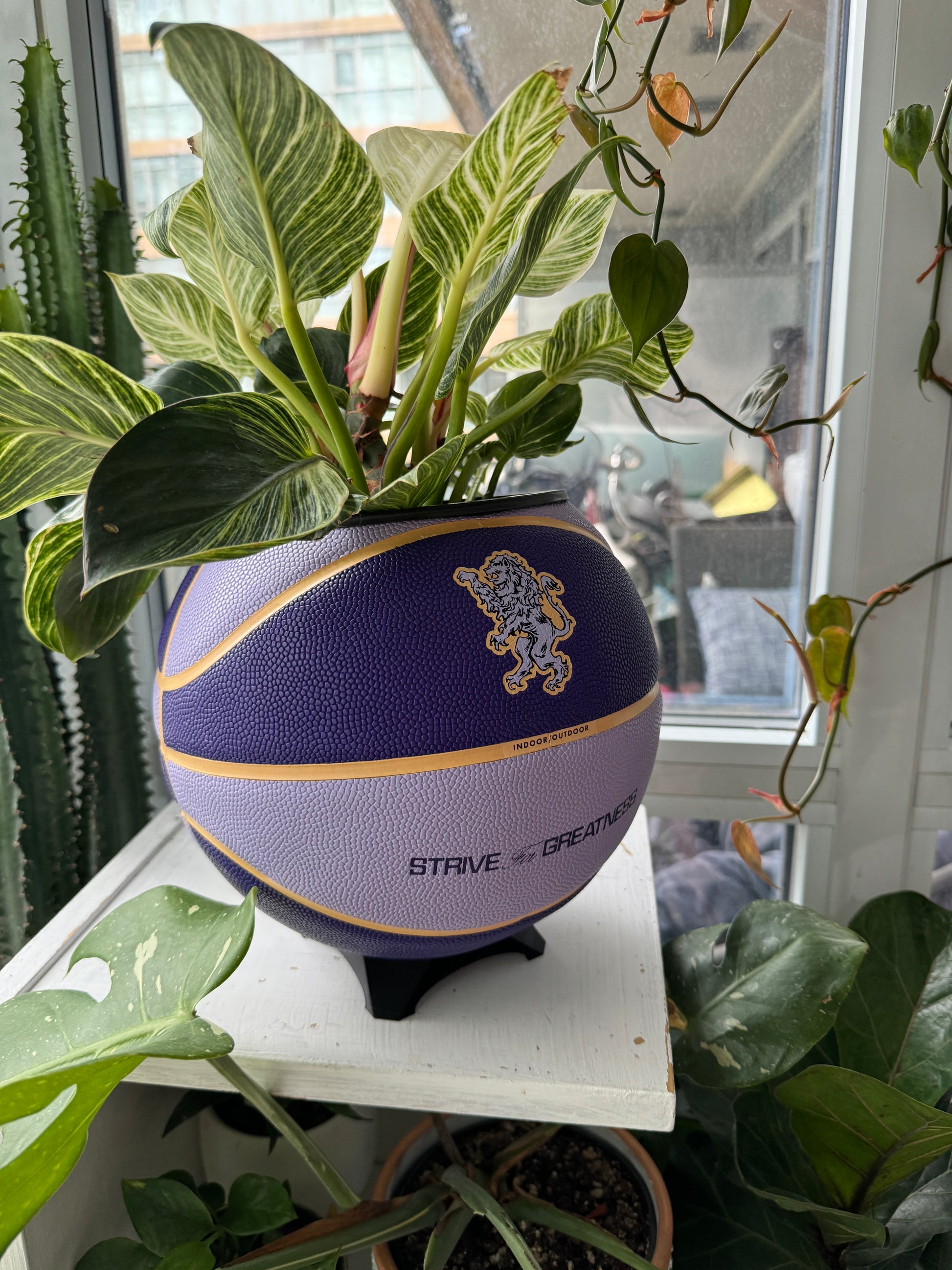 Nike Large Basketball Planter (LeBron King Purple)