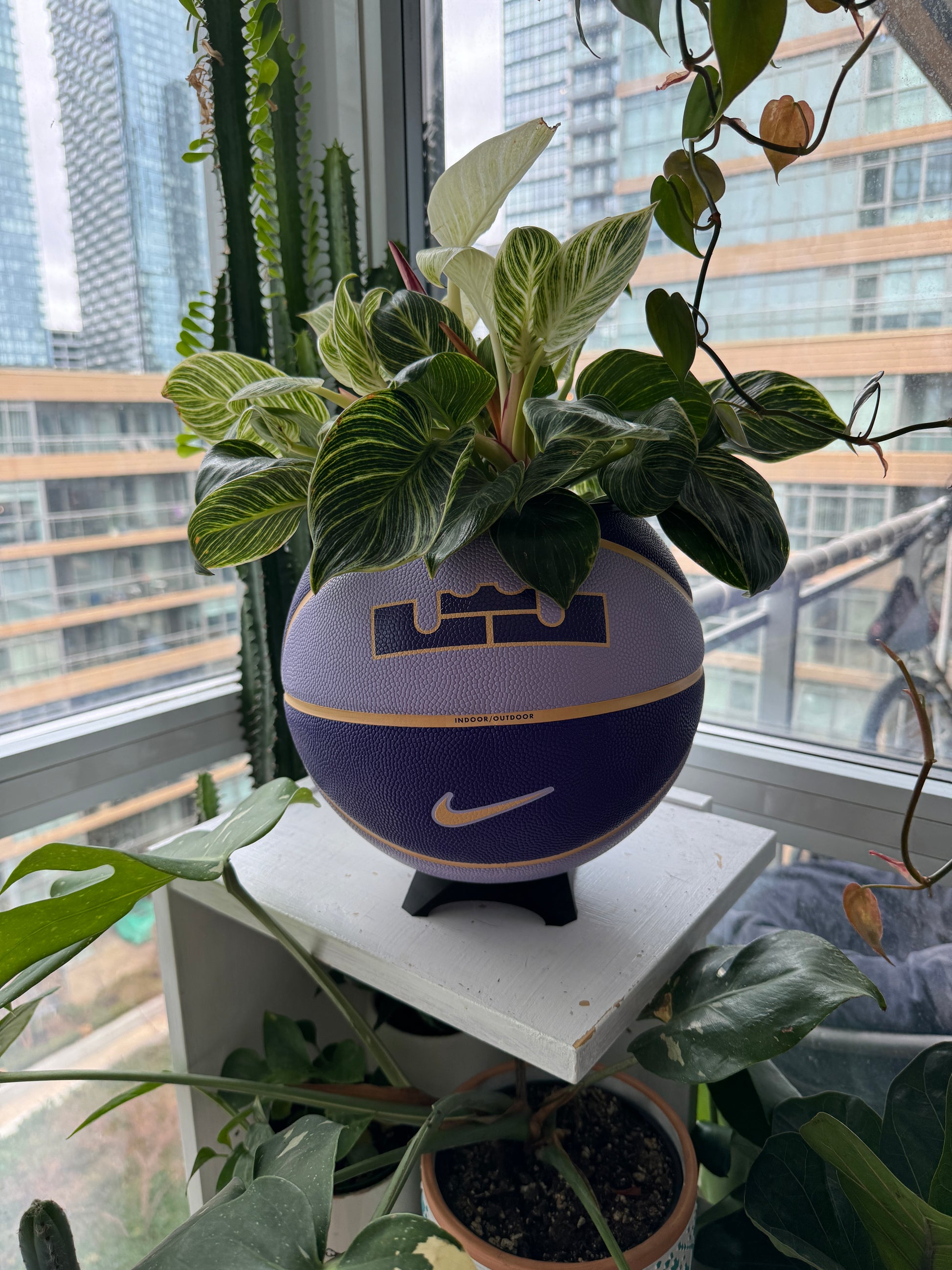 Nike Large Basketball Planter (LeBron King Purple)