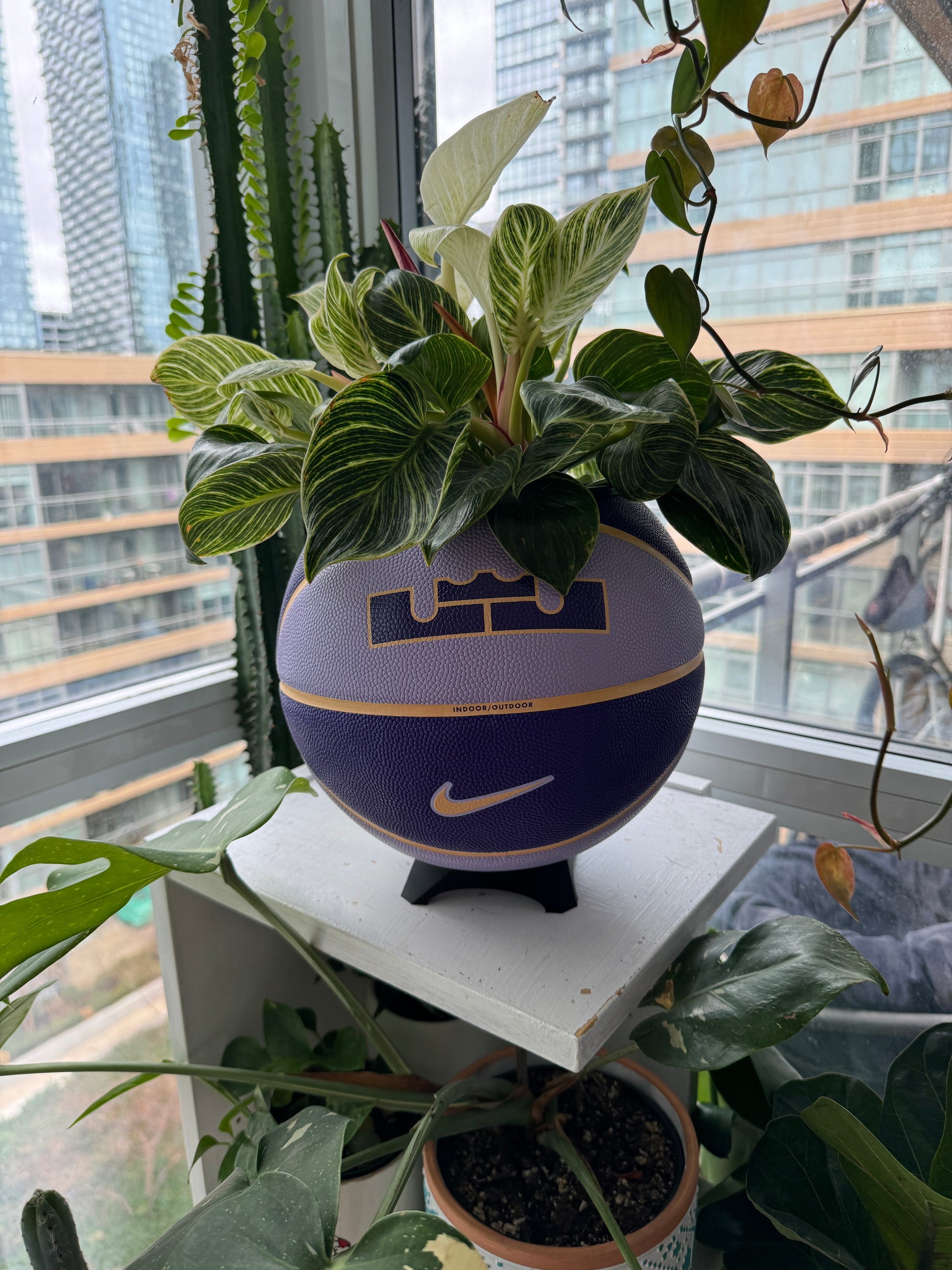 Nike Large Basketball Planter (LeBron King Purple)