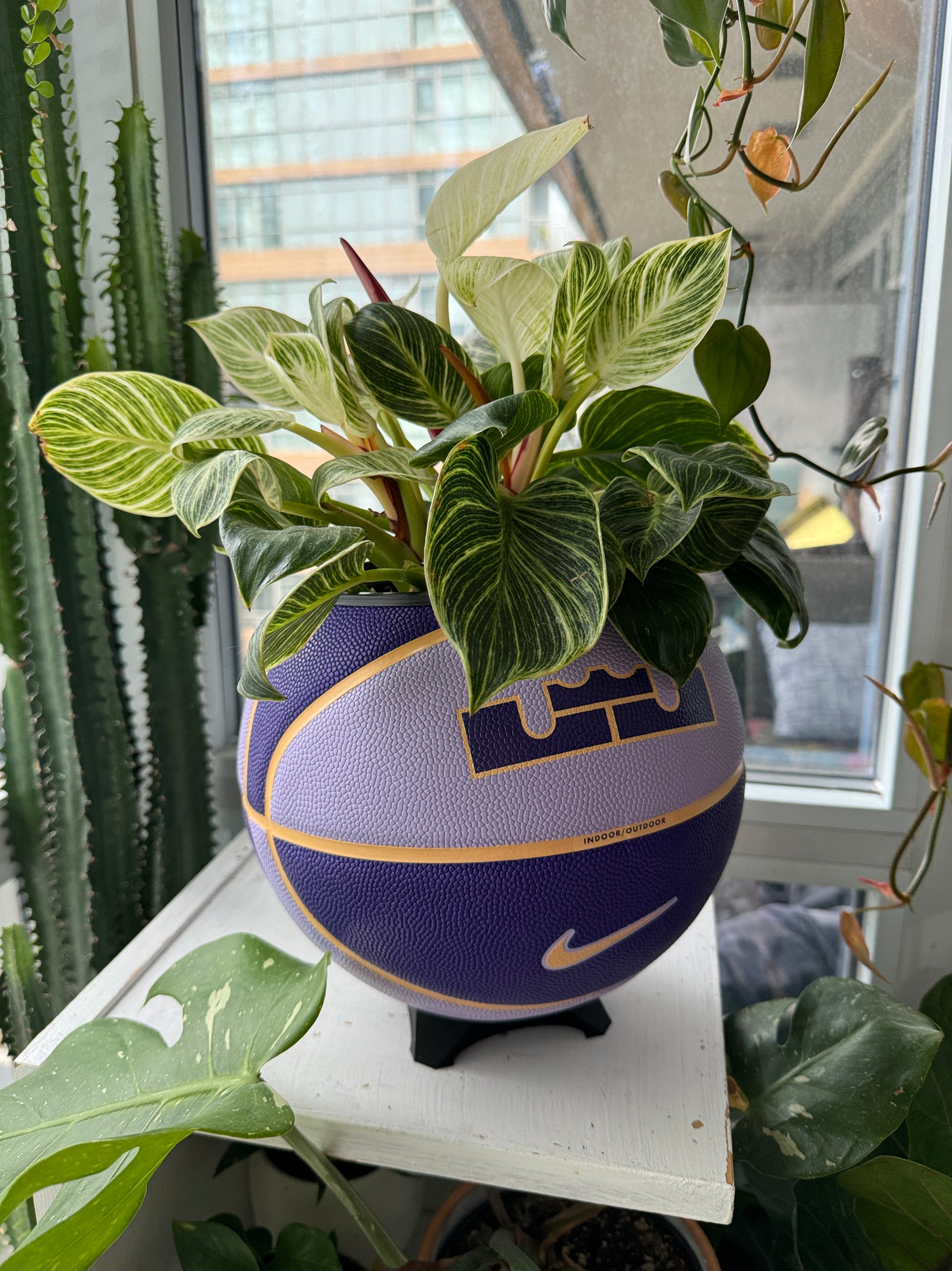 Nike Large Basketball Planter (LeBron King Purple)