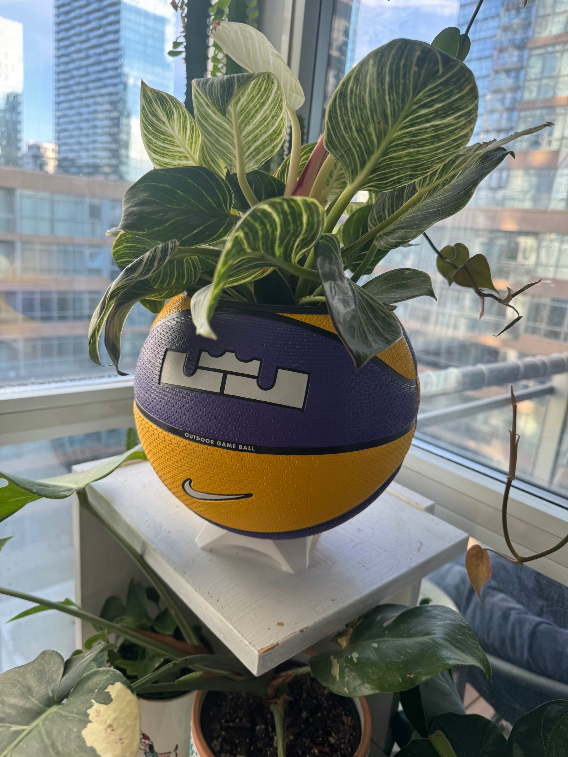 Nike Large Basketball Planter (LeBron King Yellow & Purple)
