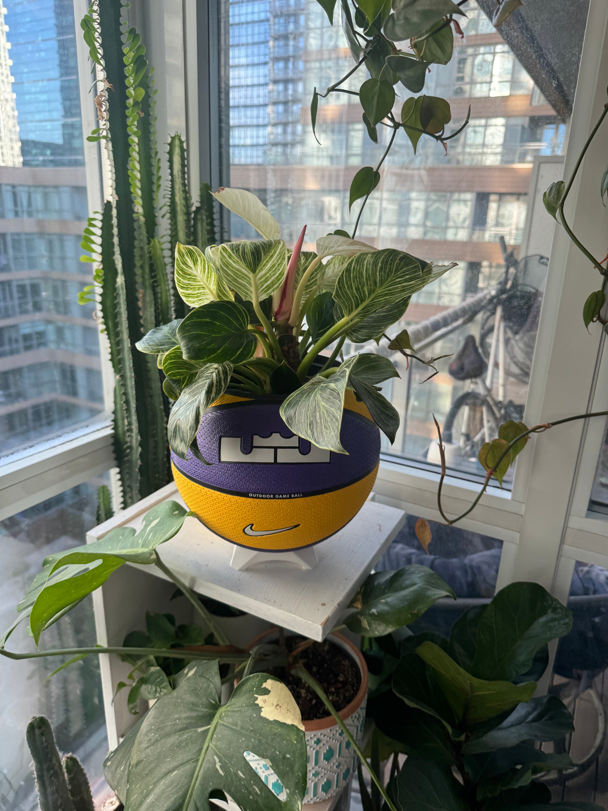 Nike Large Basketball Planter (LeBron King Yellow & Purple)