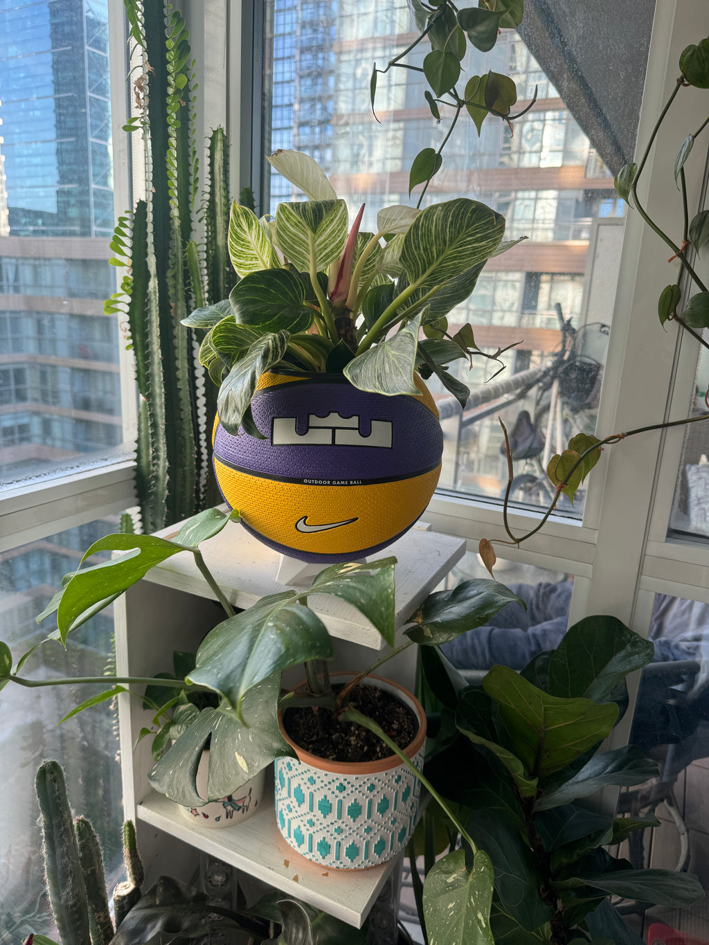 Nike Large Basketball Planter (LeBron King Yellow & Purple)
