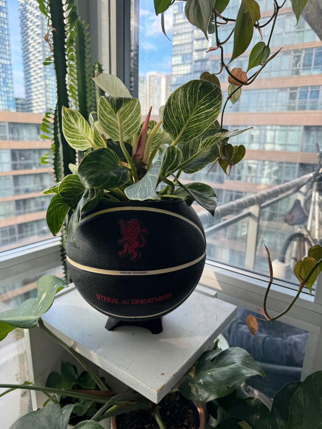Nike Jordan Large Basketball Planter (Strive for Greatness)