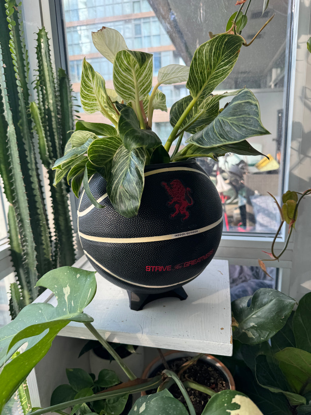 Nike Jordan Large Basketball Planter (Strive for Greatness)