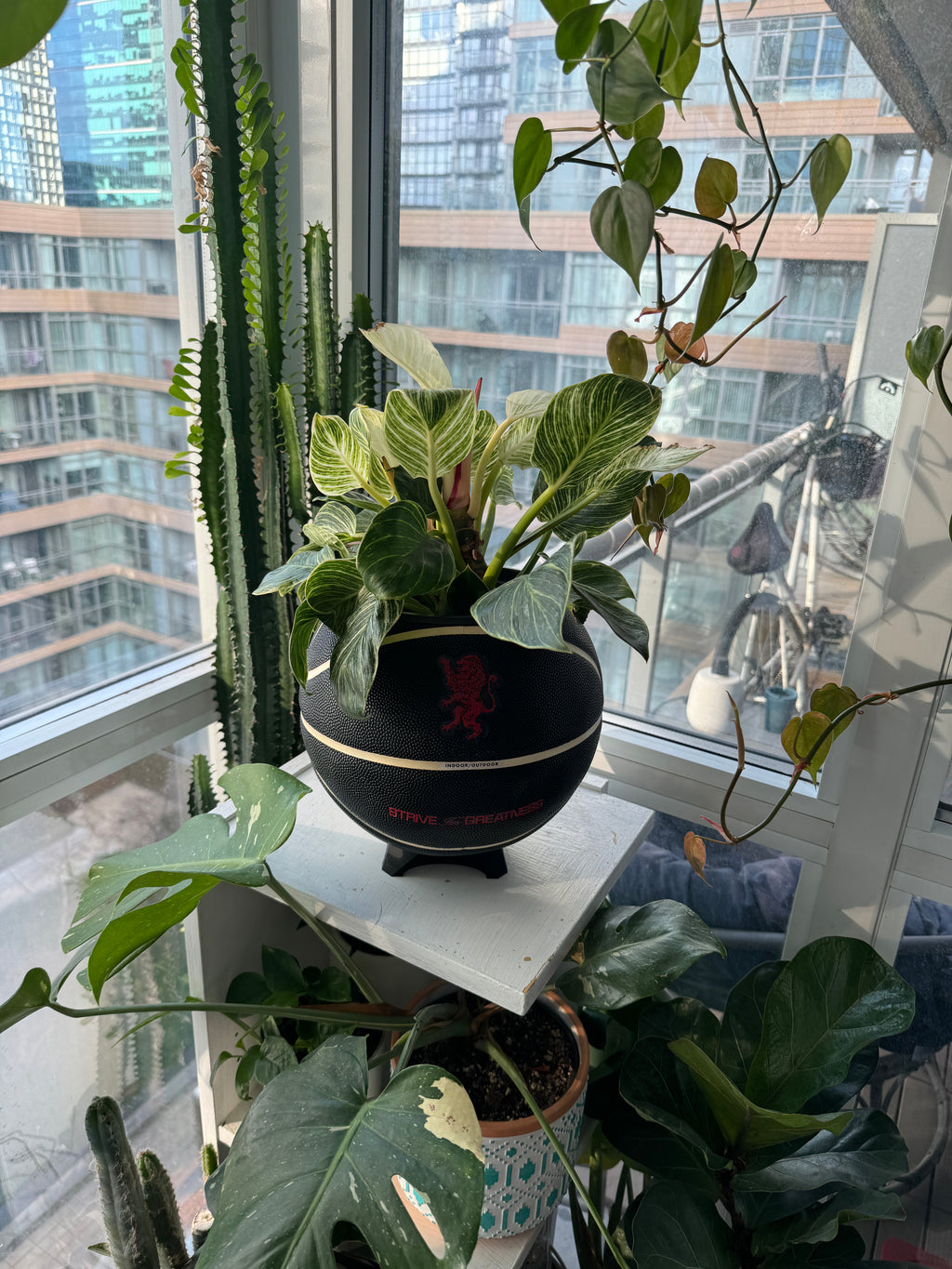 Nike Jordan Large Basketball Planter (Strive for Greatness)