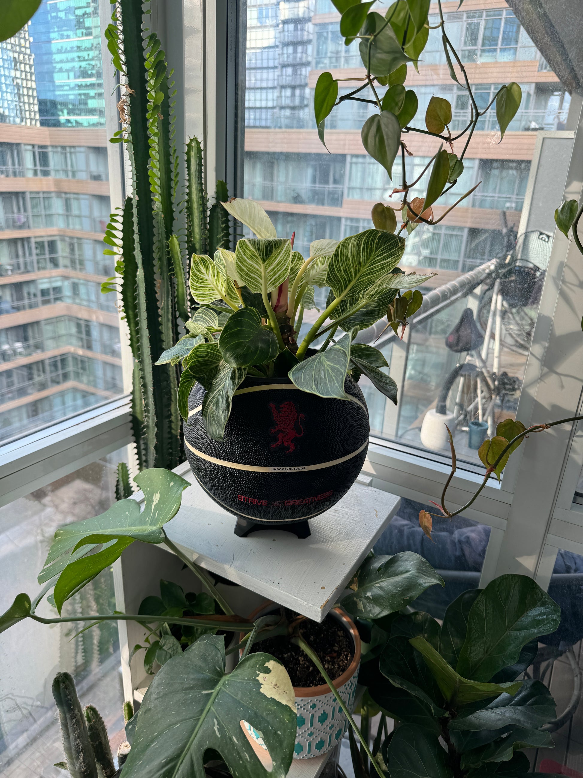 Nike Jordan Large Basketball Planter (Strive for Greatness)