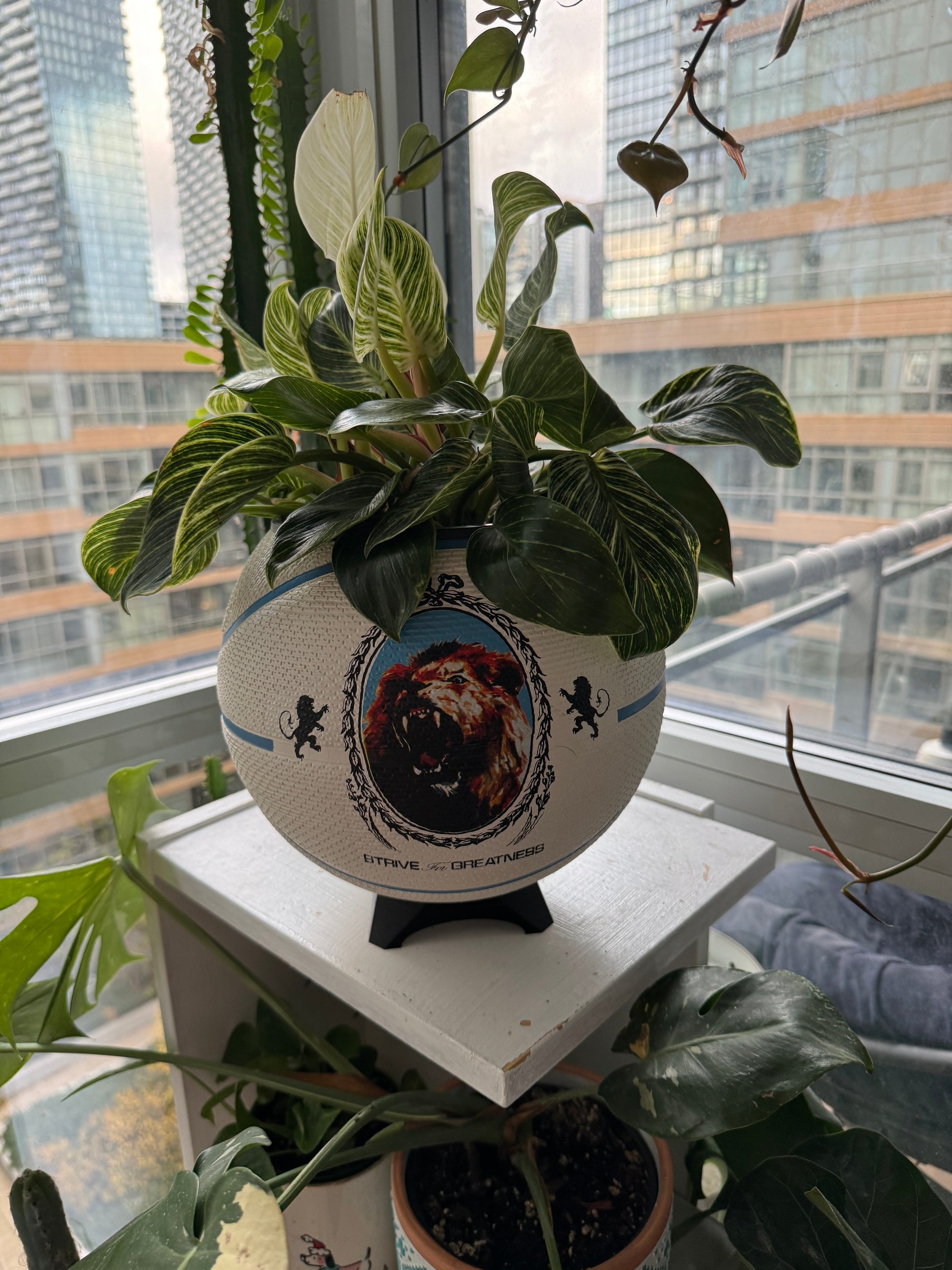 Nike Jordan Large Basketball Planter (Lebron James UNC Blue & White)