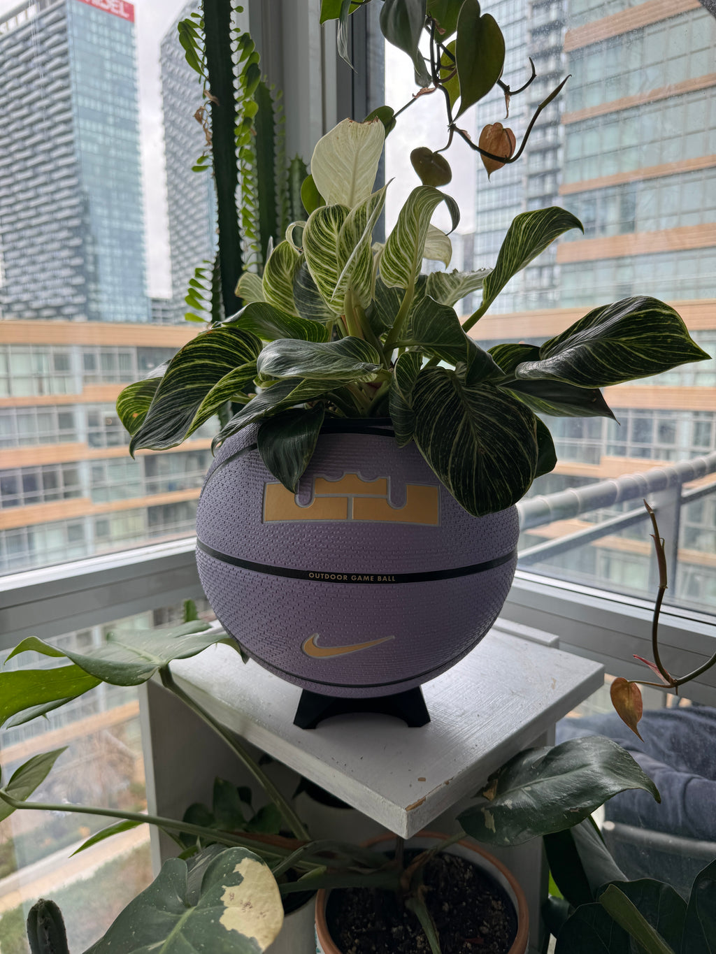 Nike Large Basketball Planter (LeBron King Lilac Greatness)