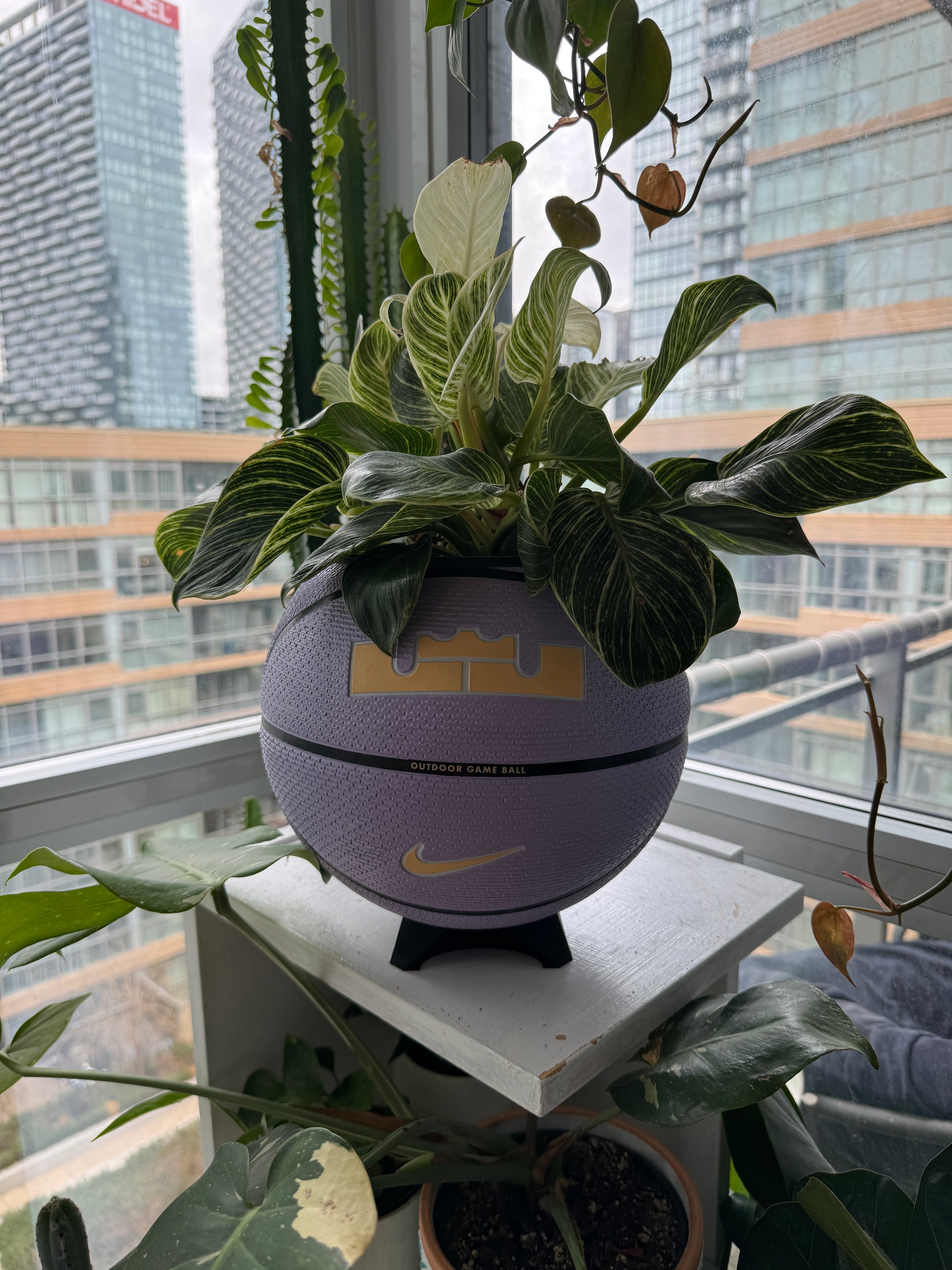 Nike Large Basketball Planter (LeBron King Lilac Greatness)