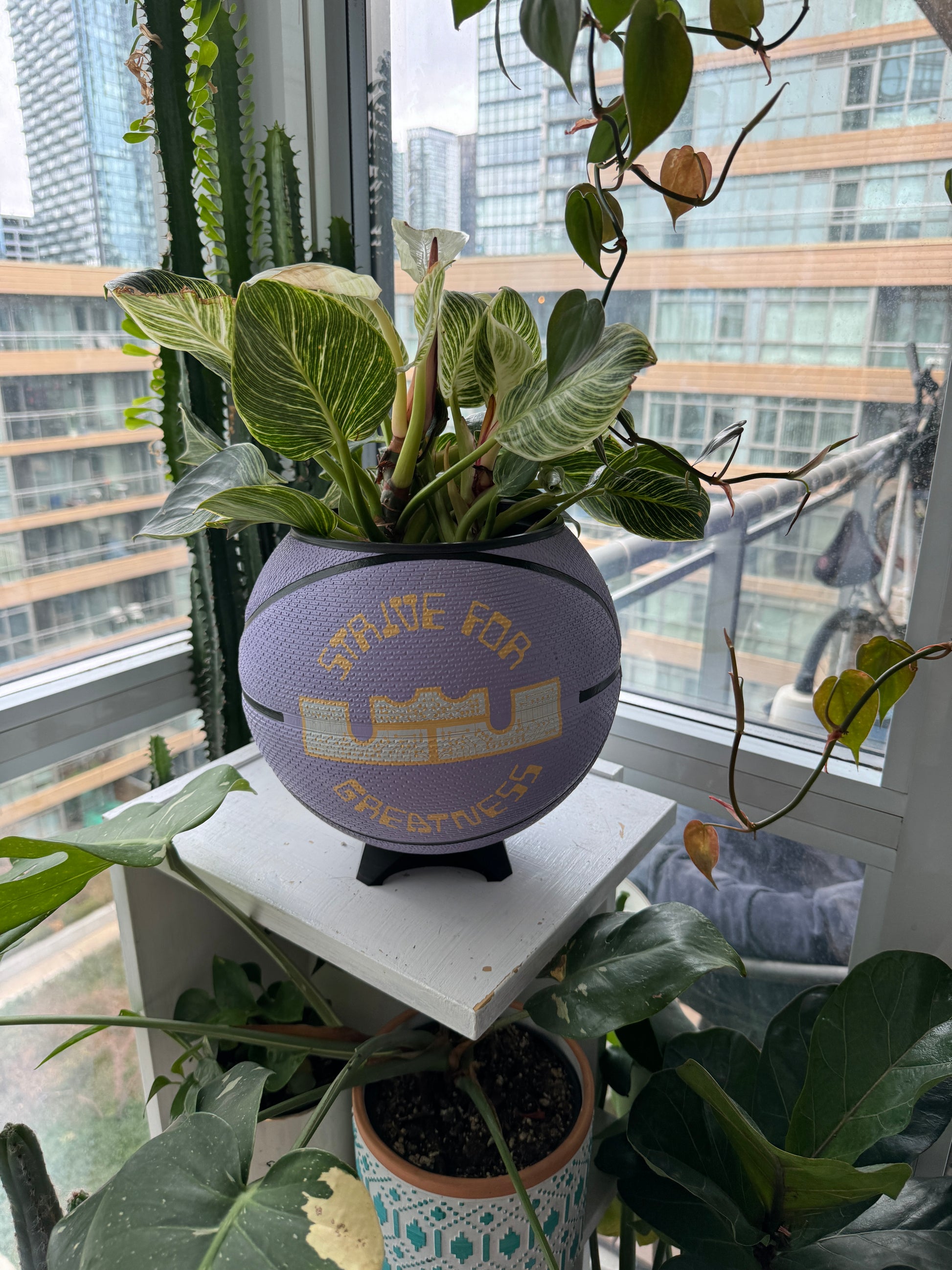 Nike Large Basketball Planter (LeBron King Lilac Greatness)