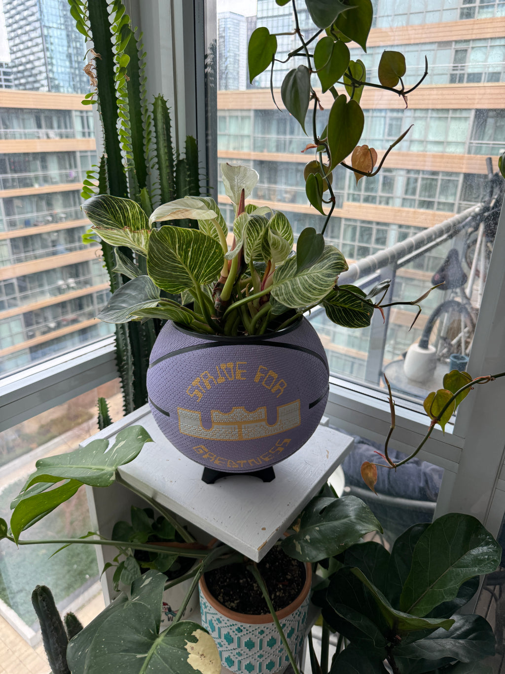 Nike Large Basketball Planter (LeBron King Lilac Greatness)