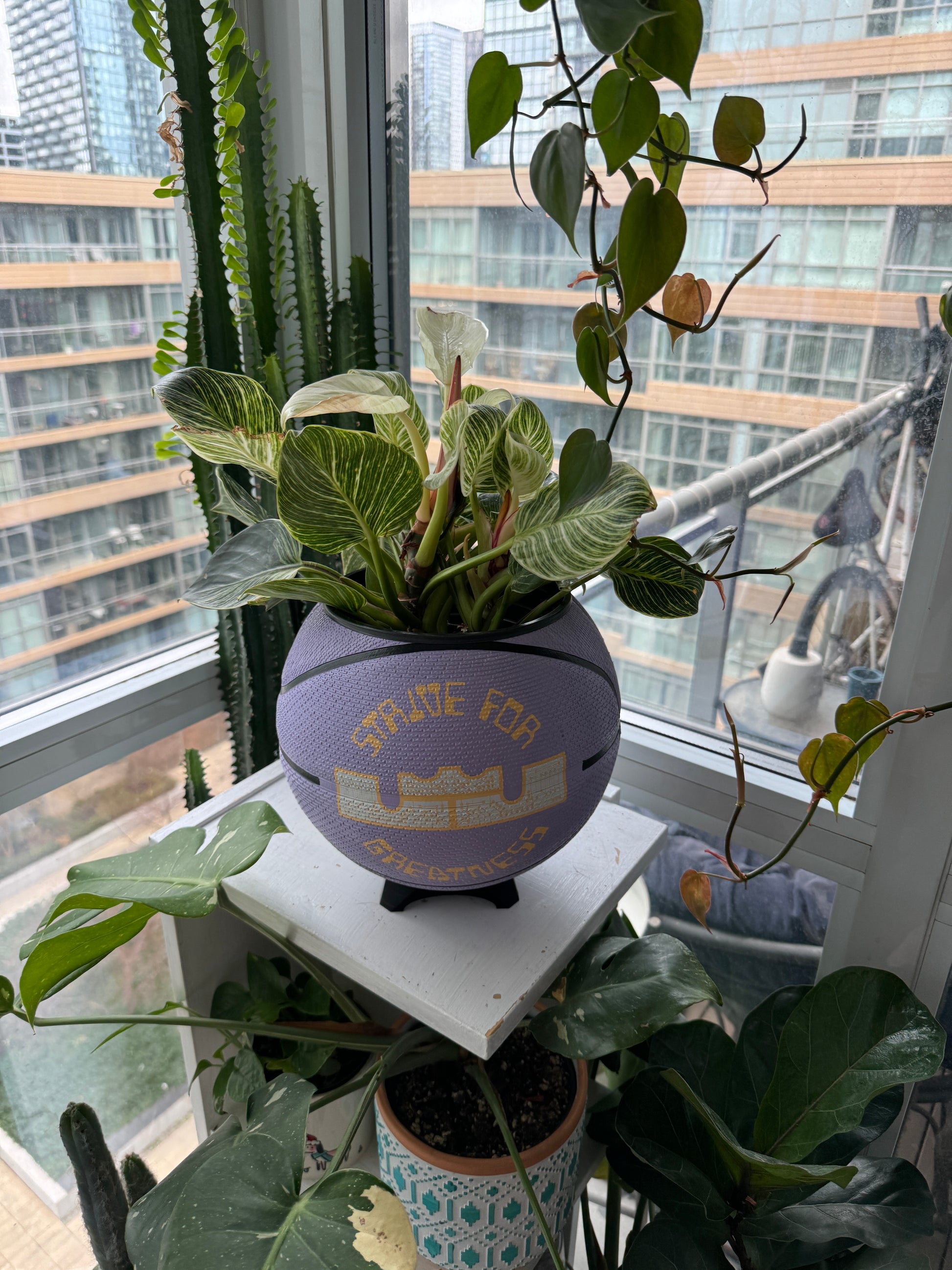 Nike Large Basketball Planter (LeBron King Lilac Greatness)