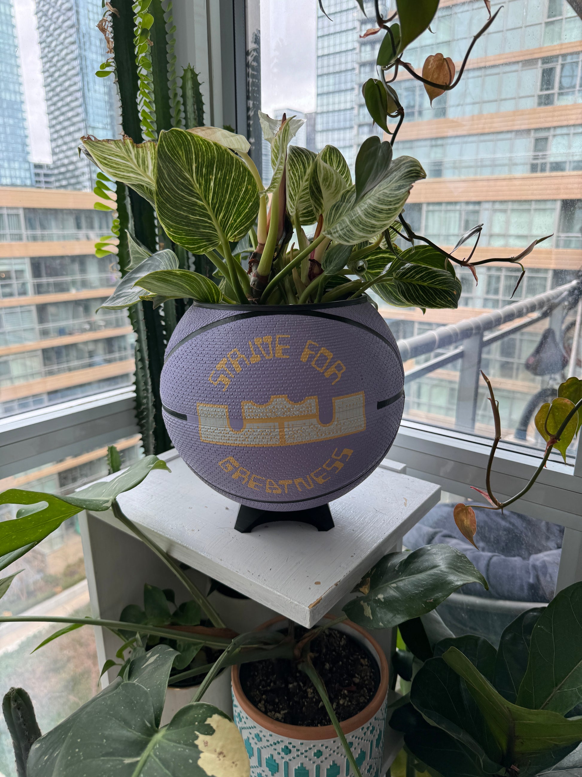 Nike Large Basketball Planter (LeBron King Lilac Greatness)