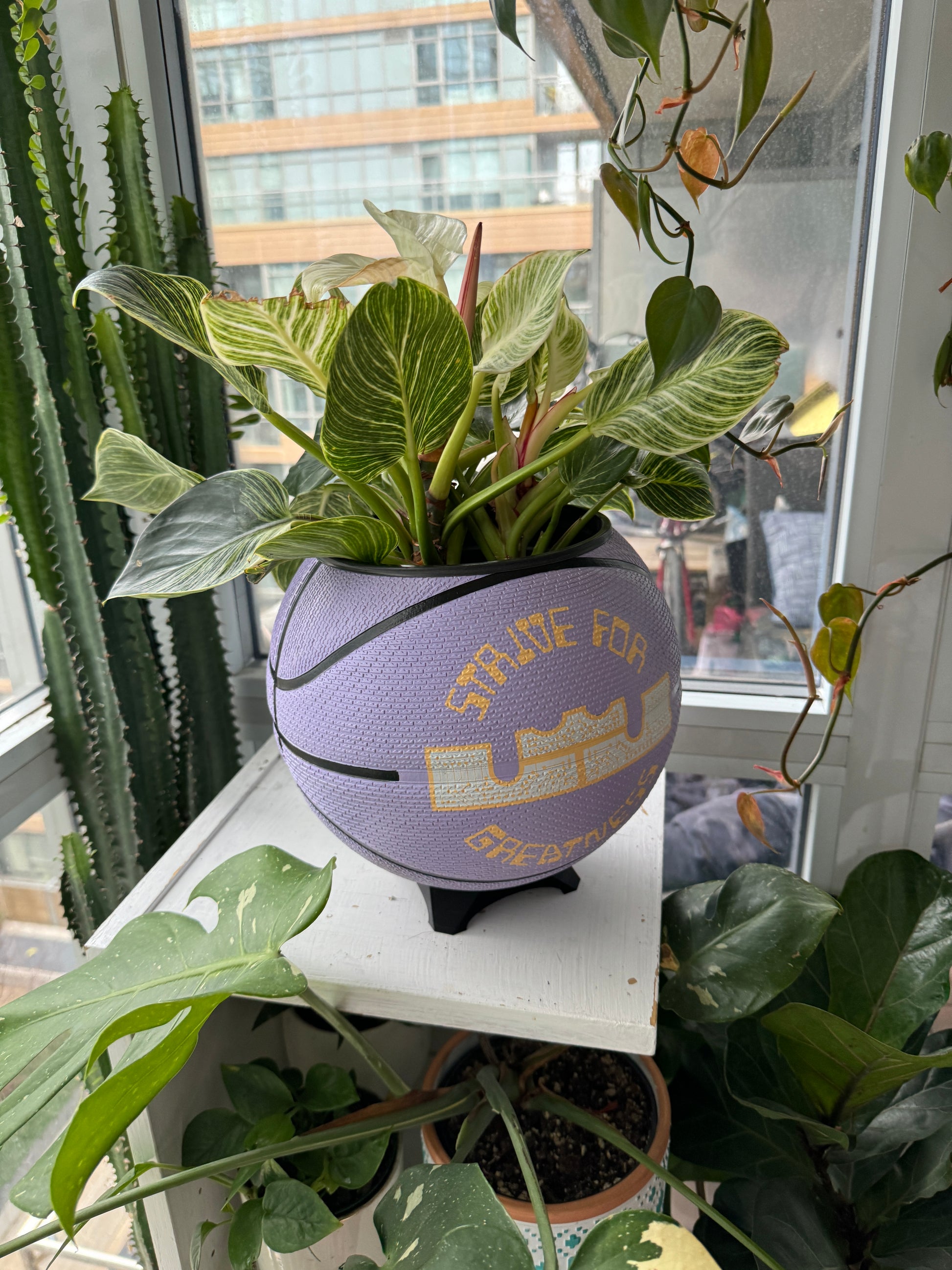 Nike Large Basketball Planter (LeBron King Lilac Greatness)