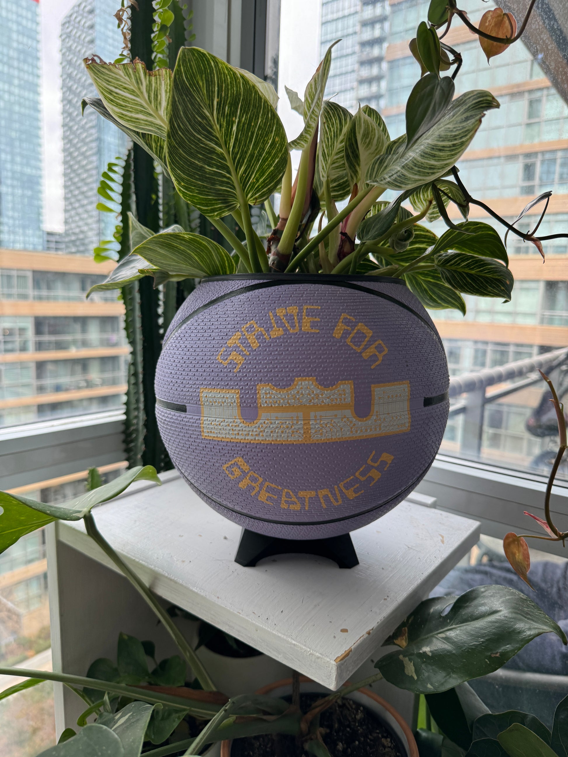 Nike Large Basketball Planter (LeBron King Lilac Greatness)