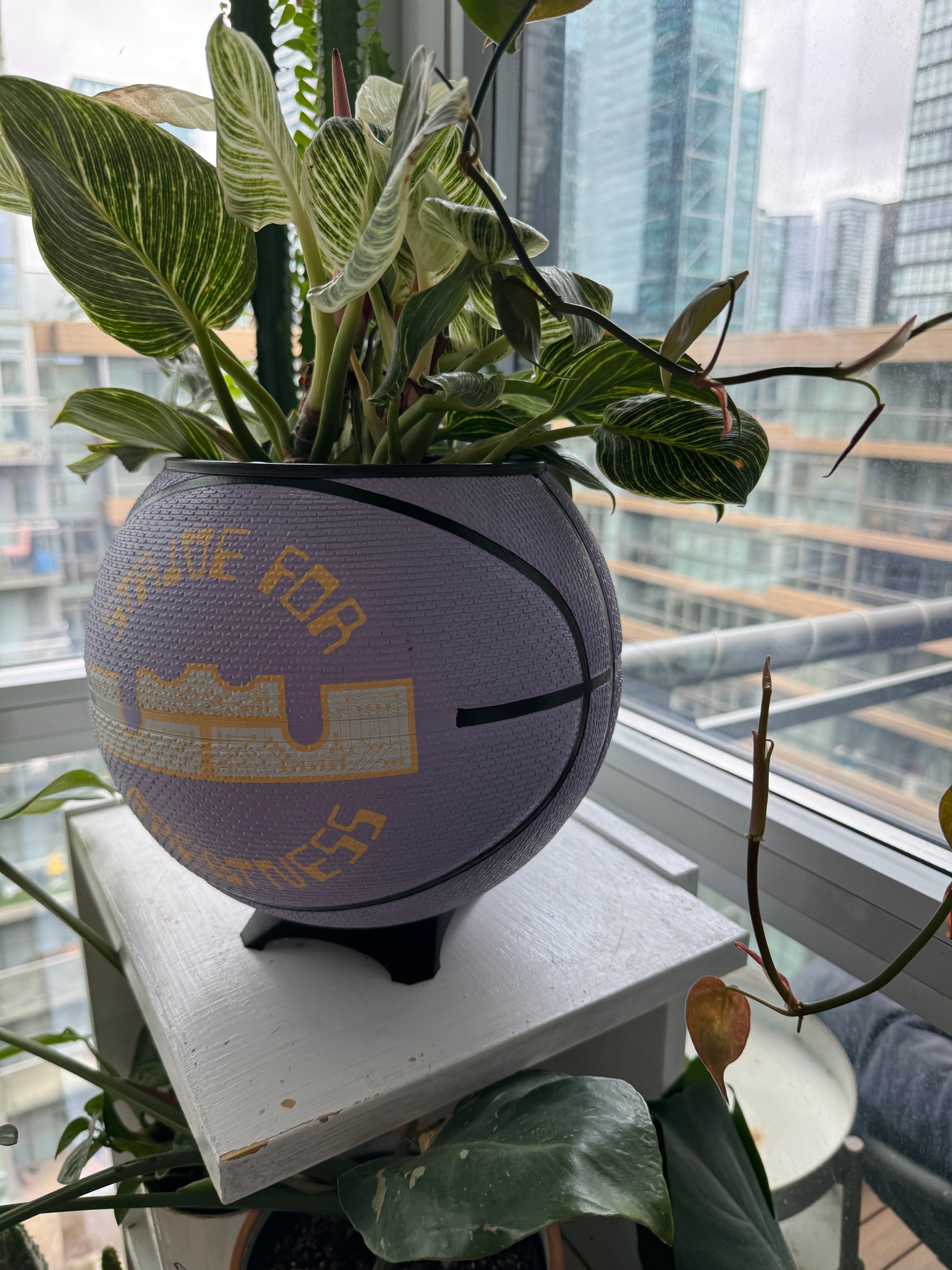Nike Large Basketball Planter (LeBron King Lilac Greatness)