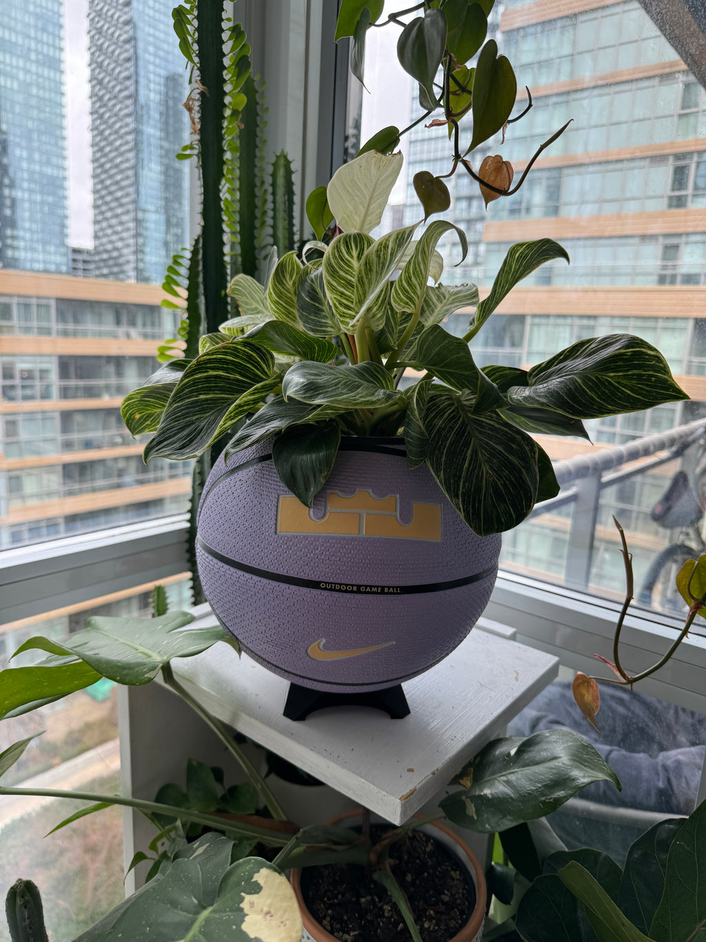 Nike Large Basketball Planter (LeBron King Lilac Greatness)