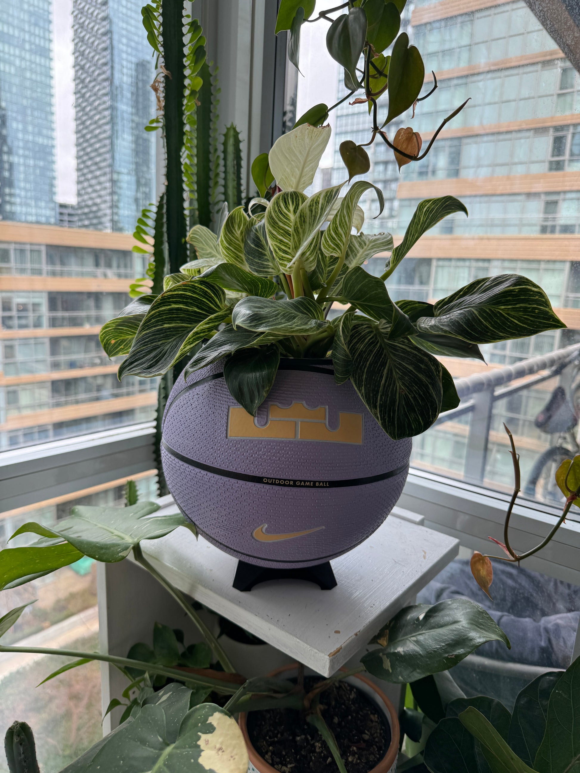 Nike Large Basketball Planter (LeBron King Lilac Greatness)
