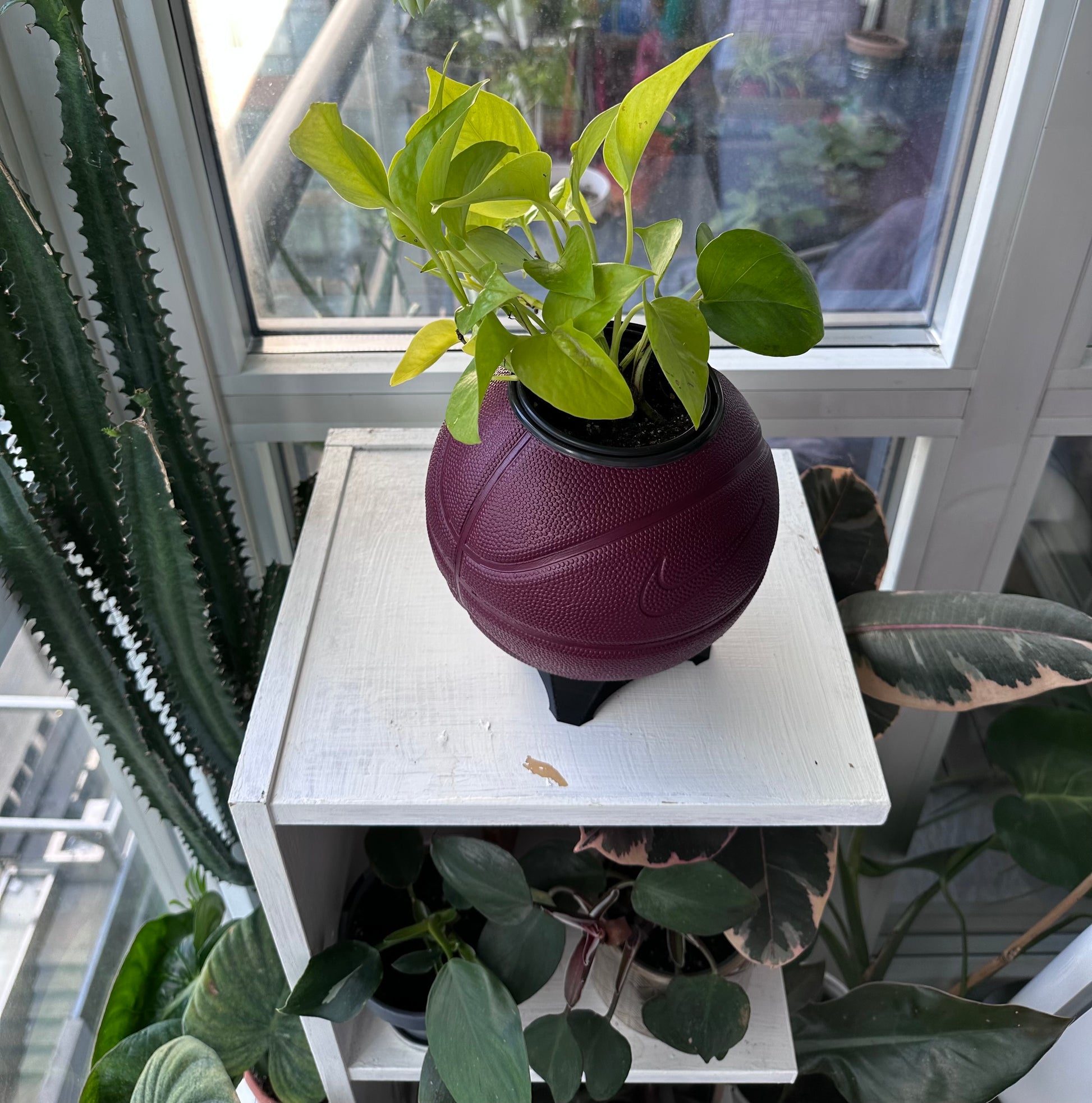 Nike Mini Basketball Planter (Wine)