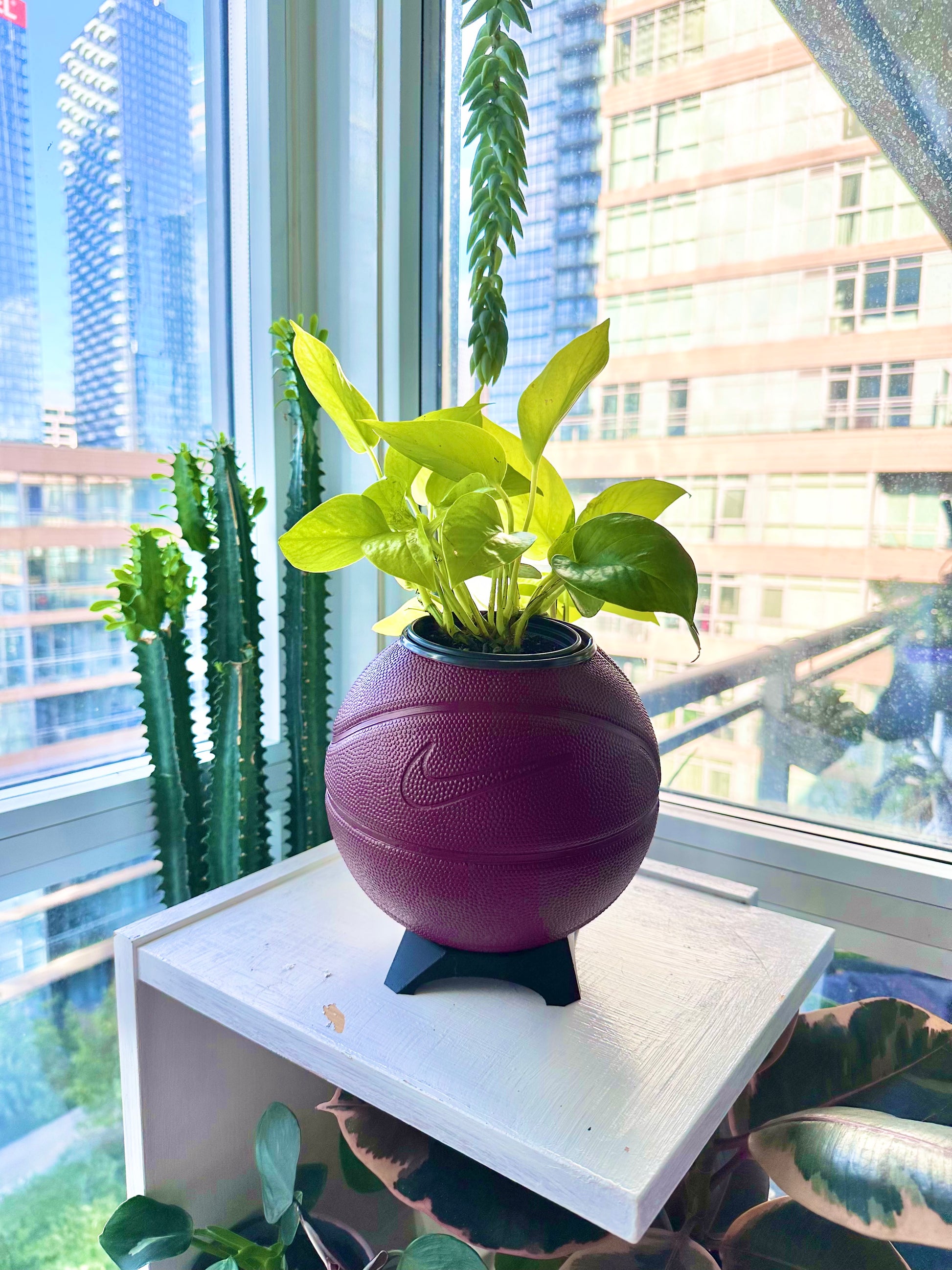 Nike Mini Basketball Planter (Wine)