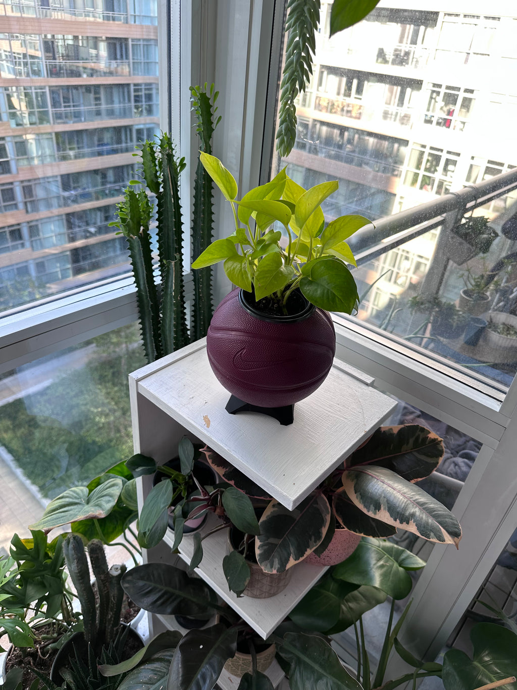 Nike Mini Basketball Planter (Wine)