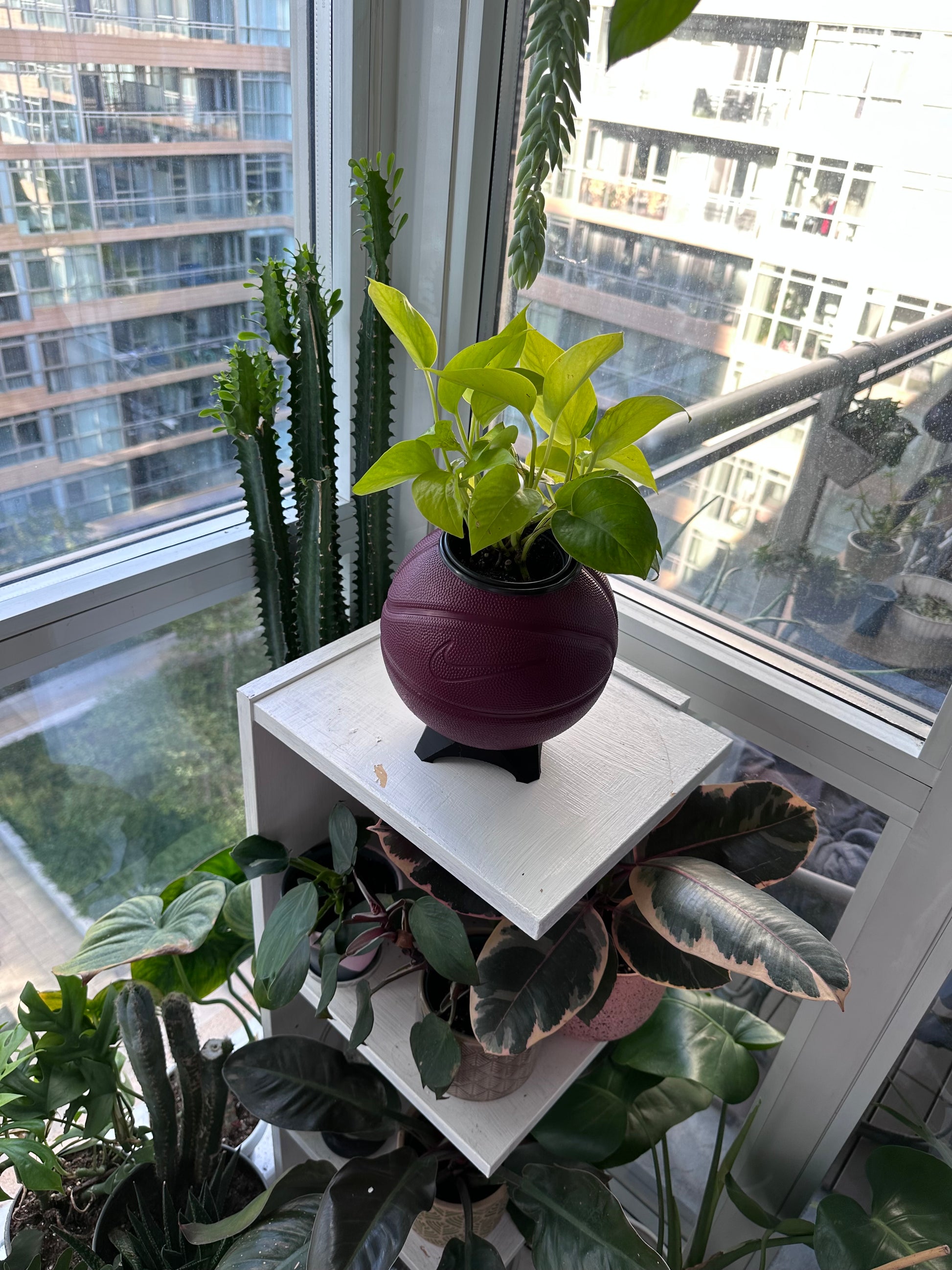 Nike Mini Basketball Planter (Wine)