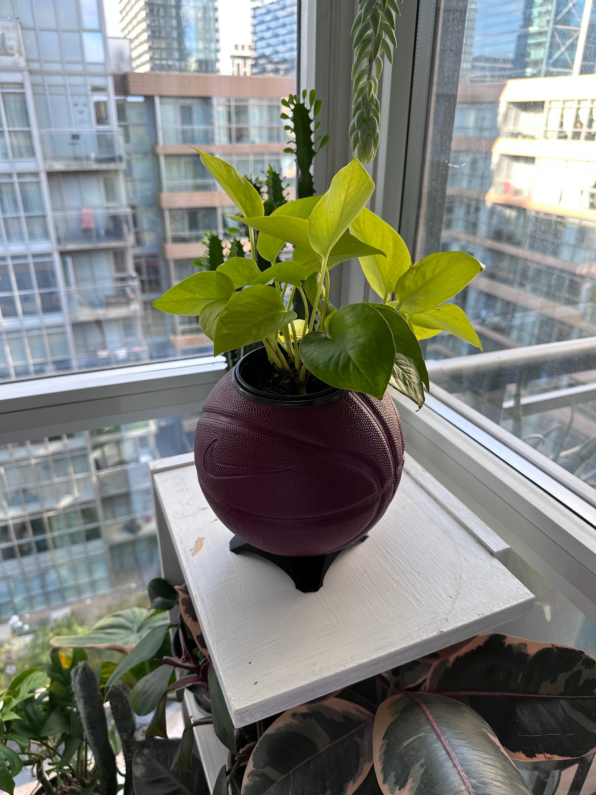 Nike Mini Basketball Planter (Wine)