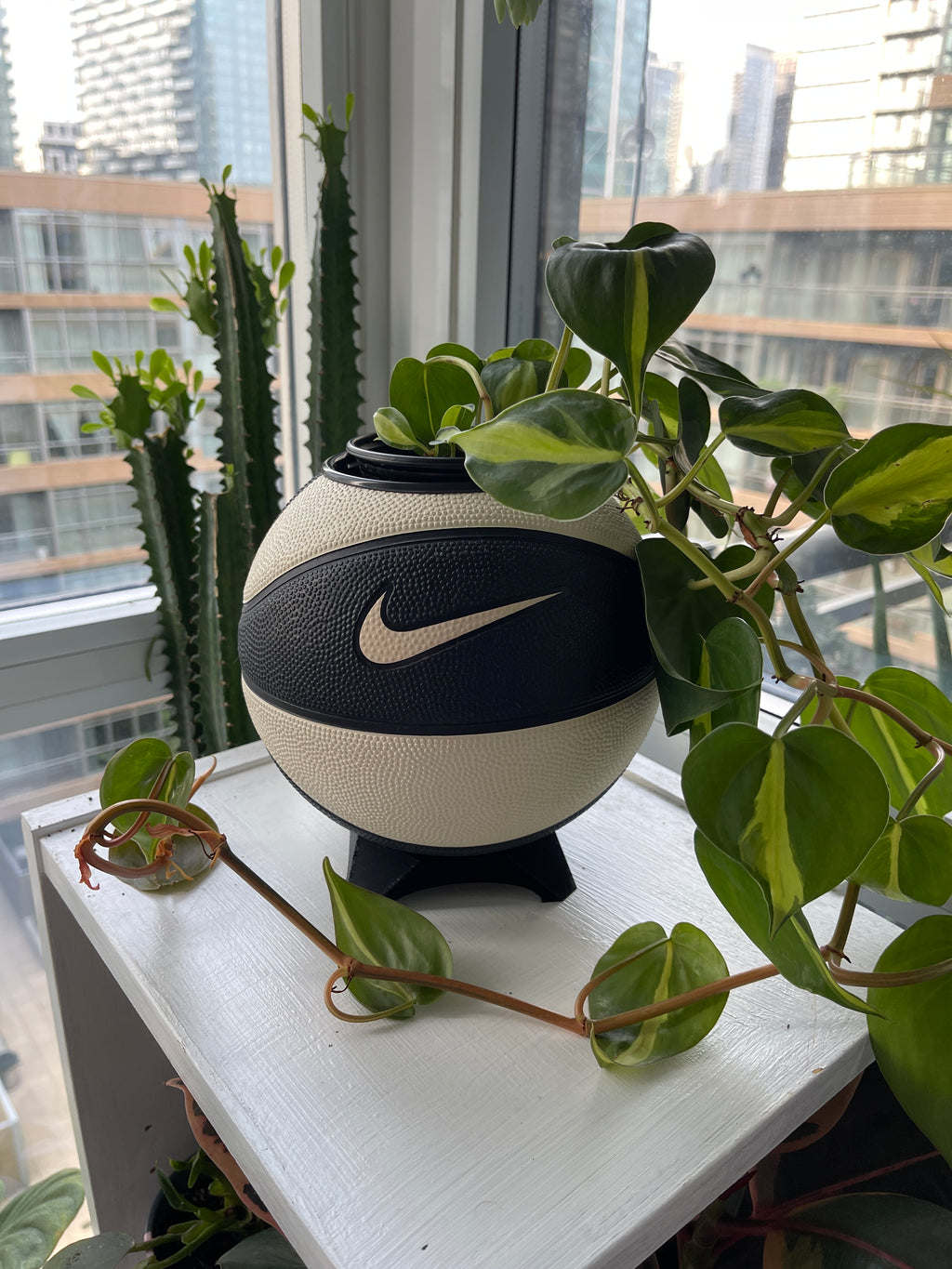 Nike Mini Basketball Planter (Oreo)