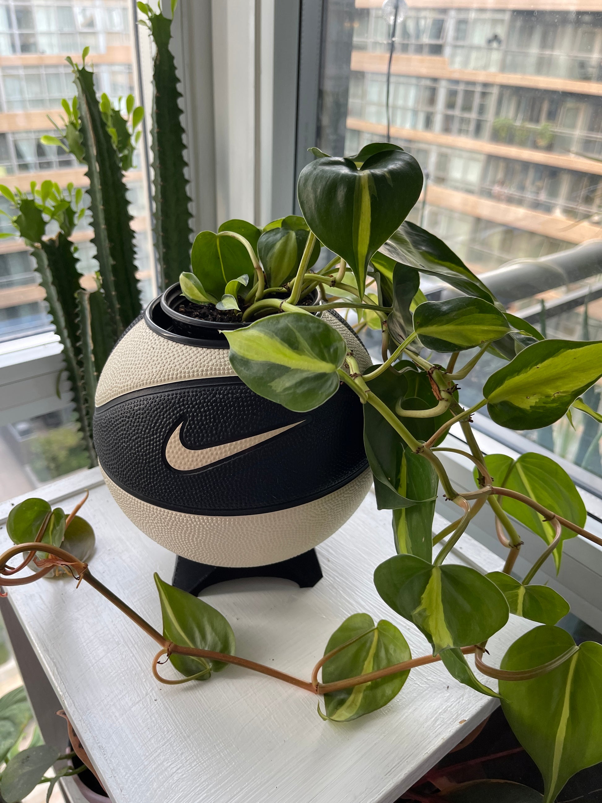 Nike Mini Basketball Planter (Oreo)
