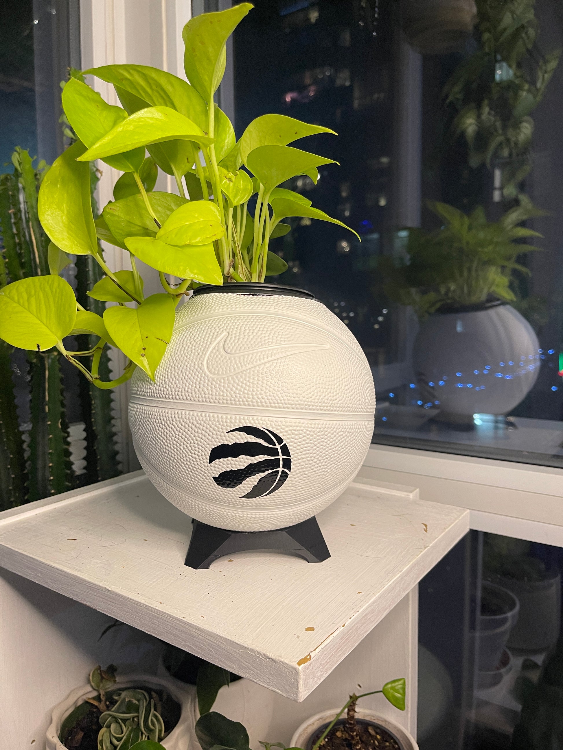 Nike Mini Basketball Planter (Toronto Raptors - Shadow)