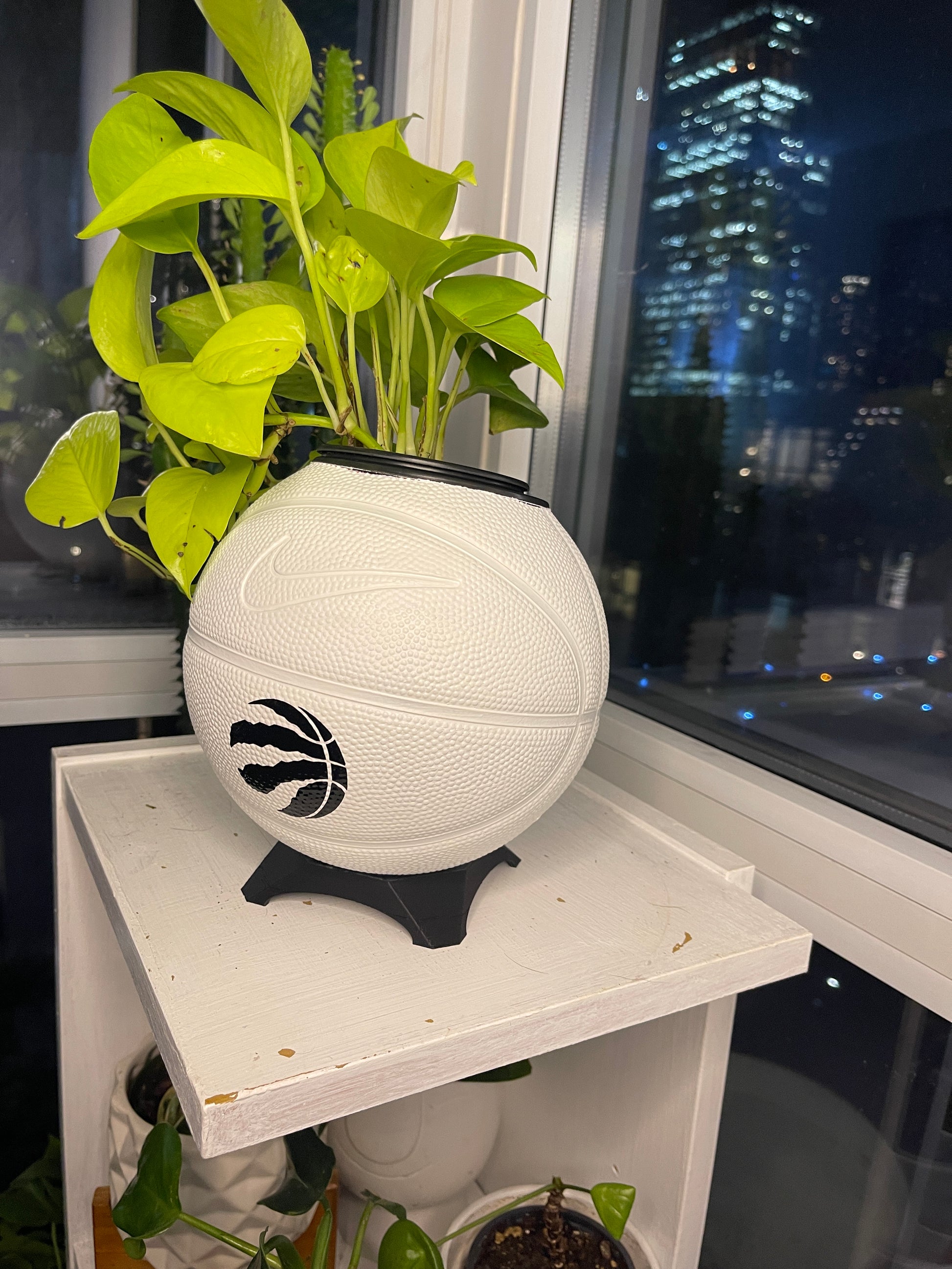 Nike Mini Basketball Planter (Toronto Raptors - Shadow)