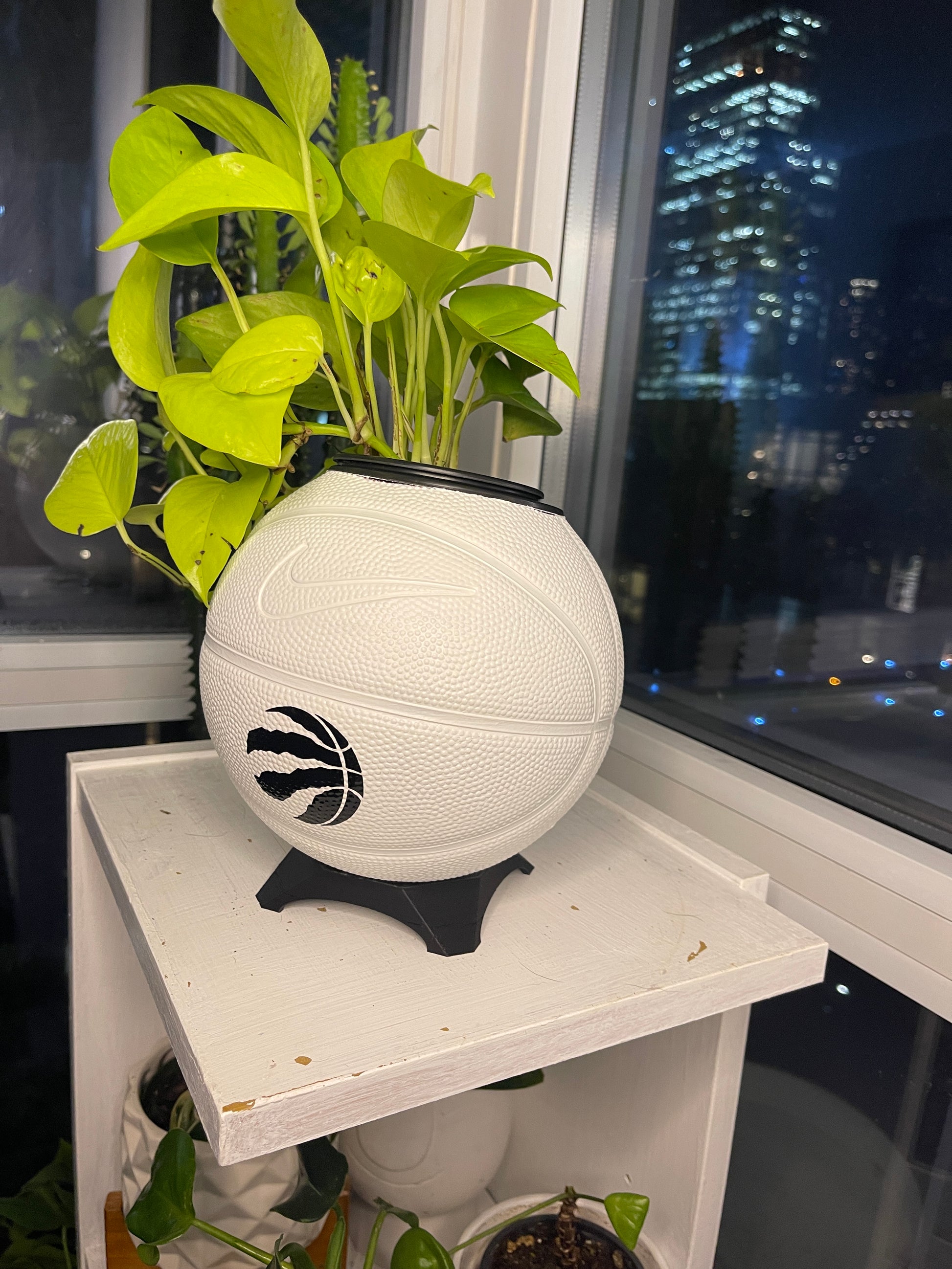 Nike Mini Basketball Planter (Toronto Raptors - Shadow)