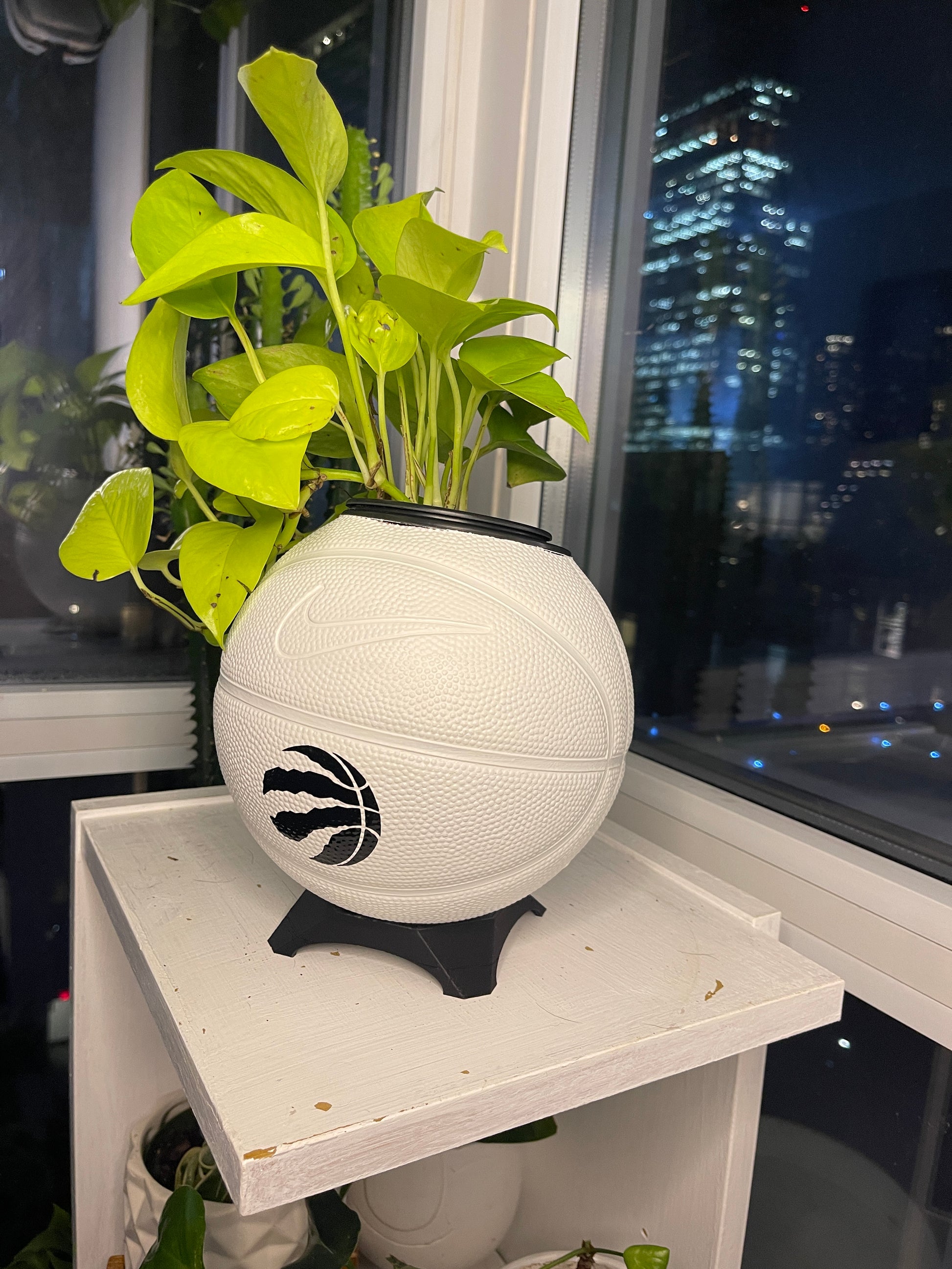 Nike Mini Basketball Planter (Toronto Raptors - Shadow)