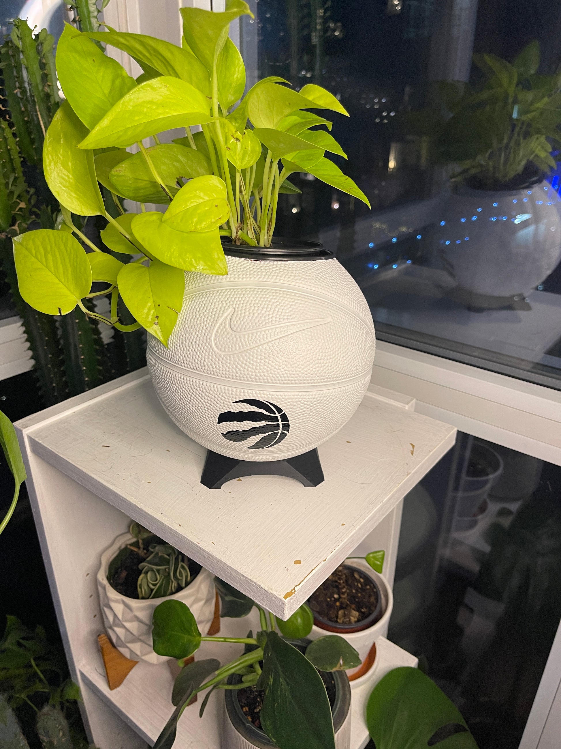 Nike Mini Basketball Planter (Toronto Raptors - Shadow)