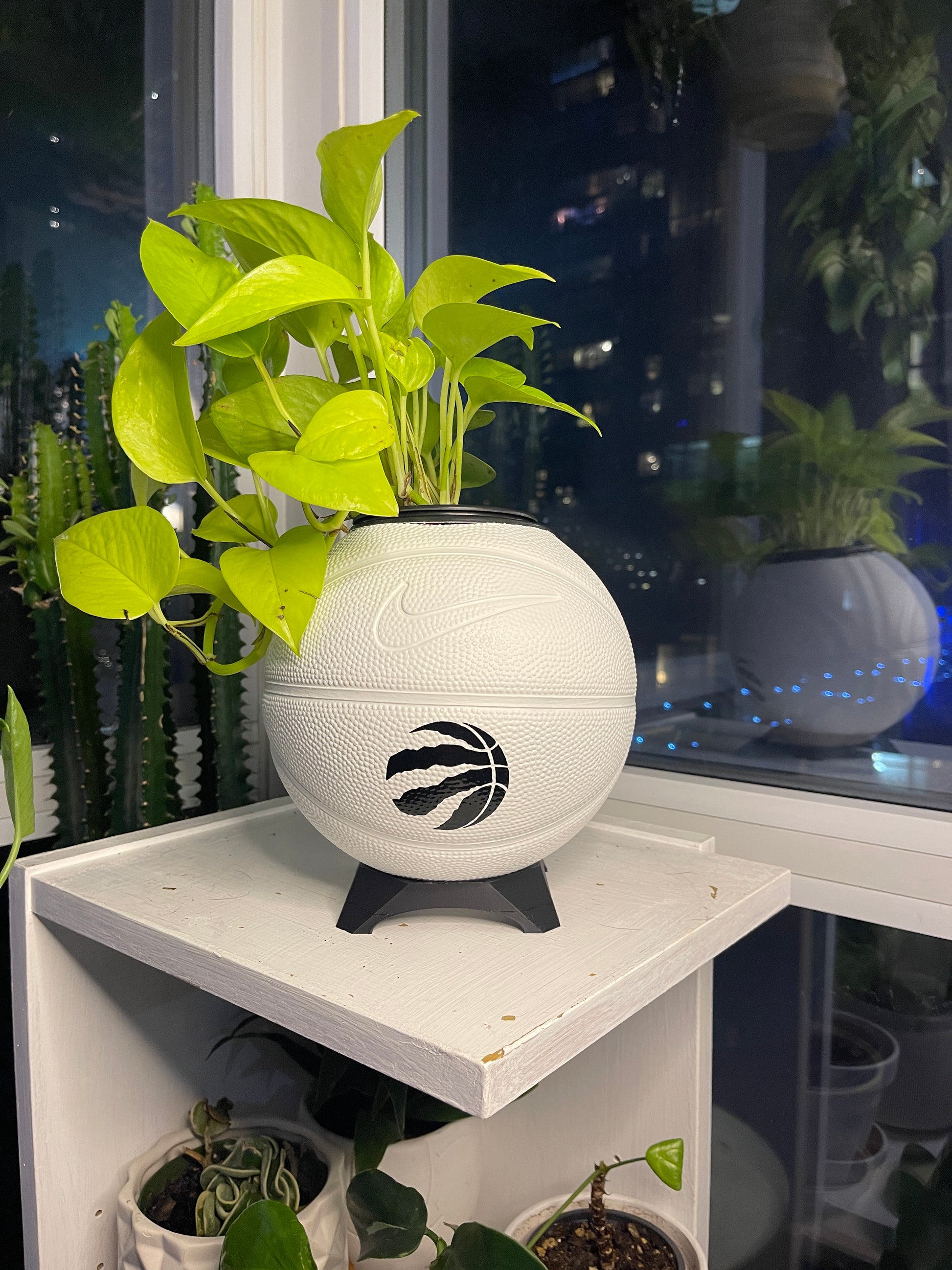 Nike Mini Basketball Planter (Toronto Raptors - Shadow)