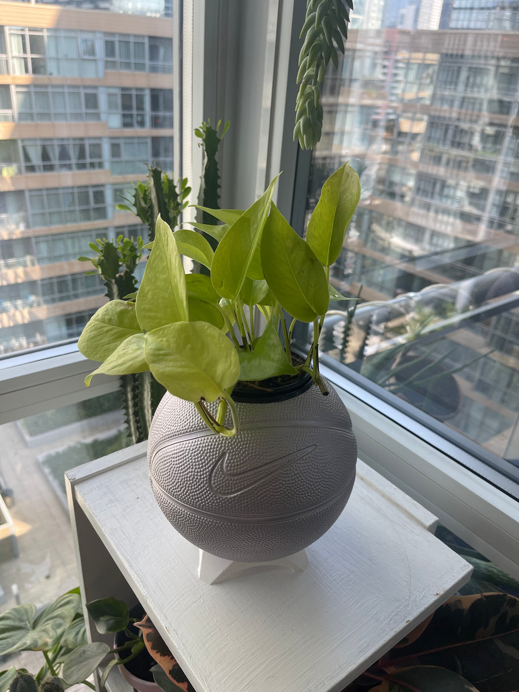 Nike Mini Basketball Planter (Silver Purple)