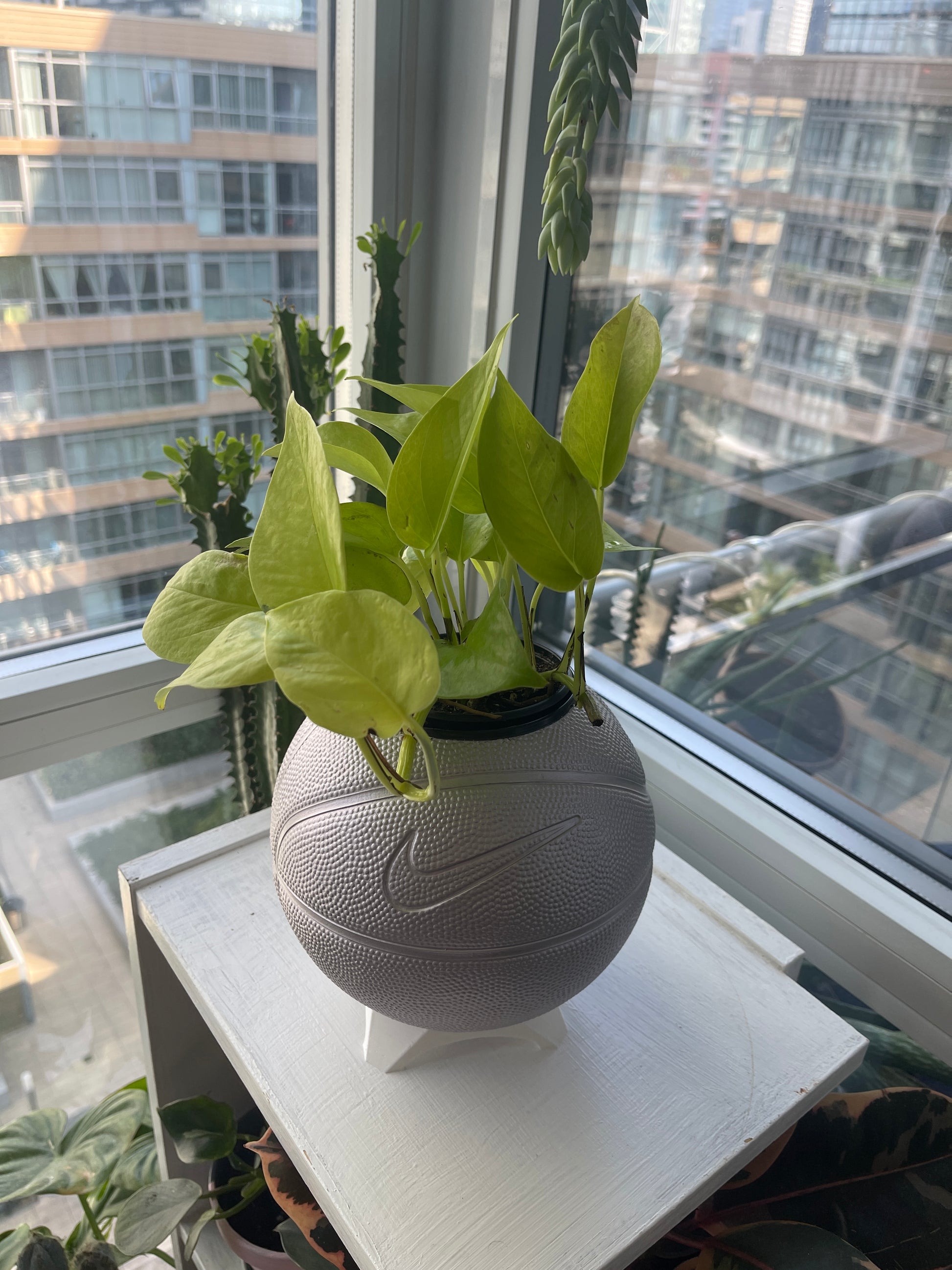 Nike Mini Basketball Planter (Silver Purple)