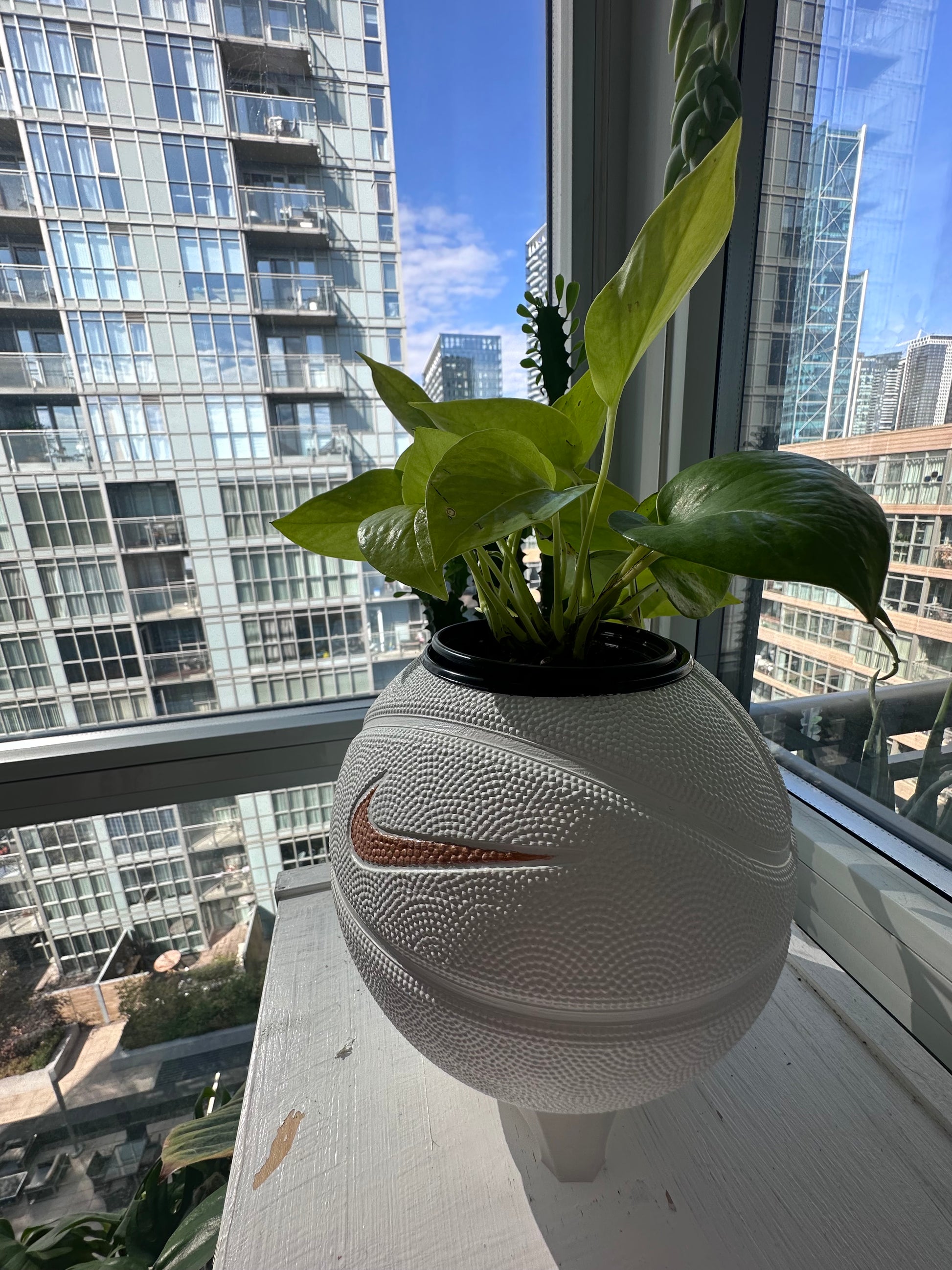 Nike Mini Basketball Planter (White & Gold Streak)