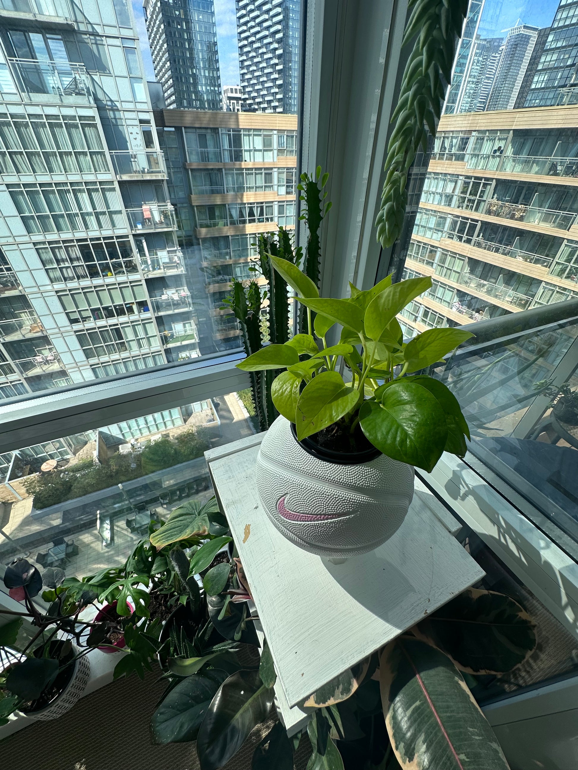 Nike Mini Basketball Planter (White & Pink Streak)